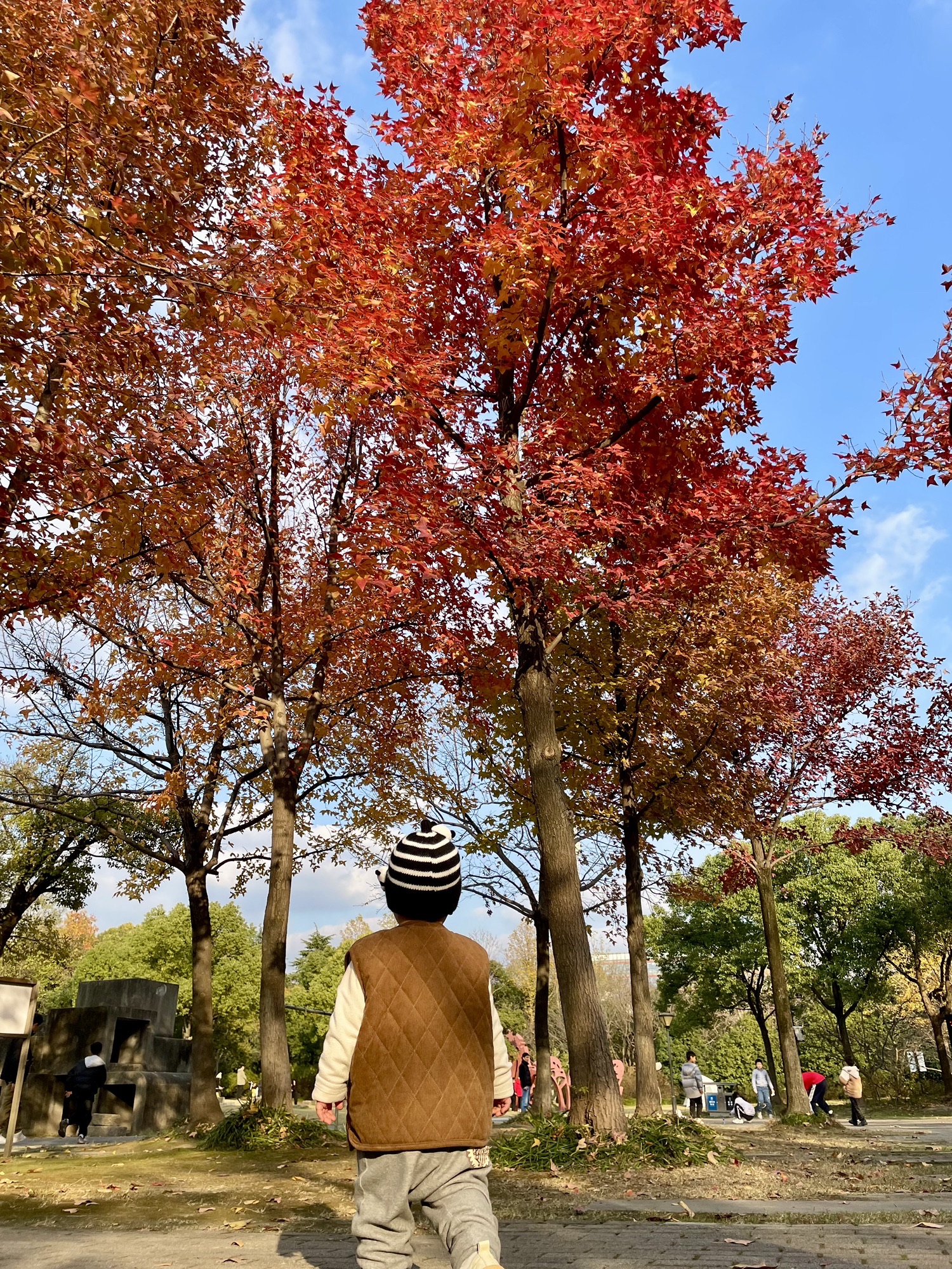 智力公园旅行图片 2