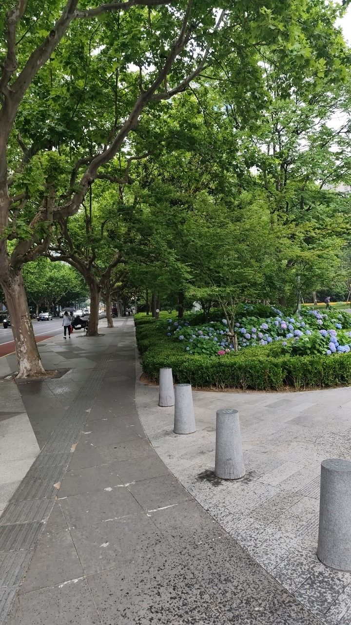 虹桥公园旅行图片 3