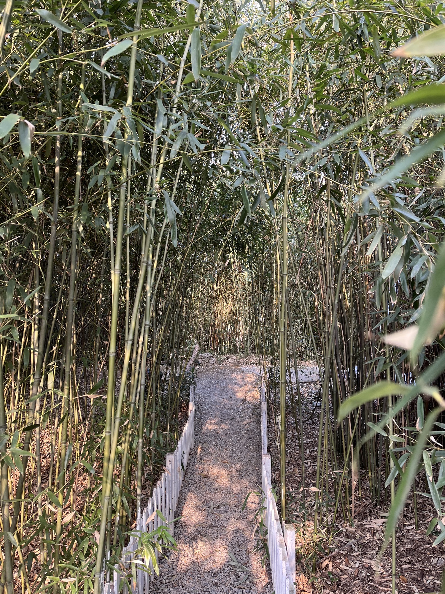 上海韩湘水博园旅行图片 3