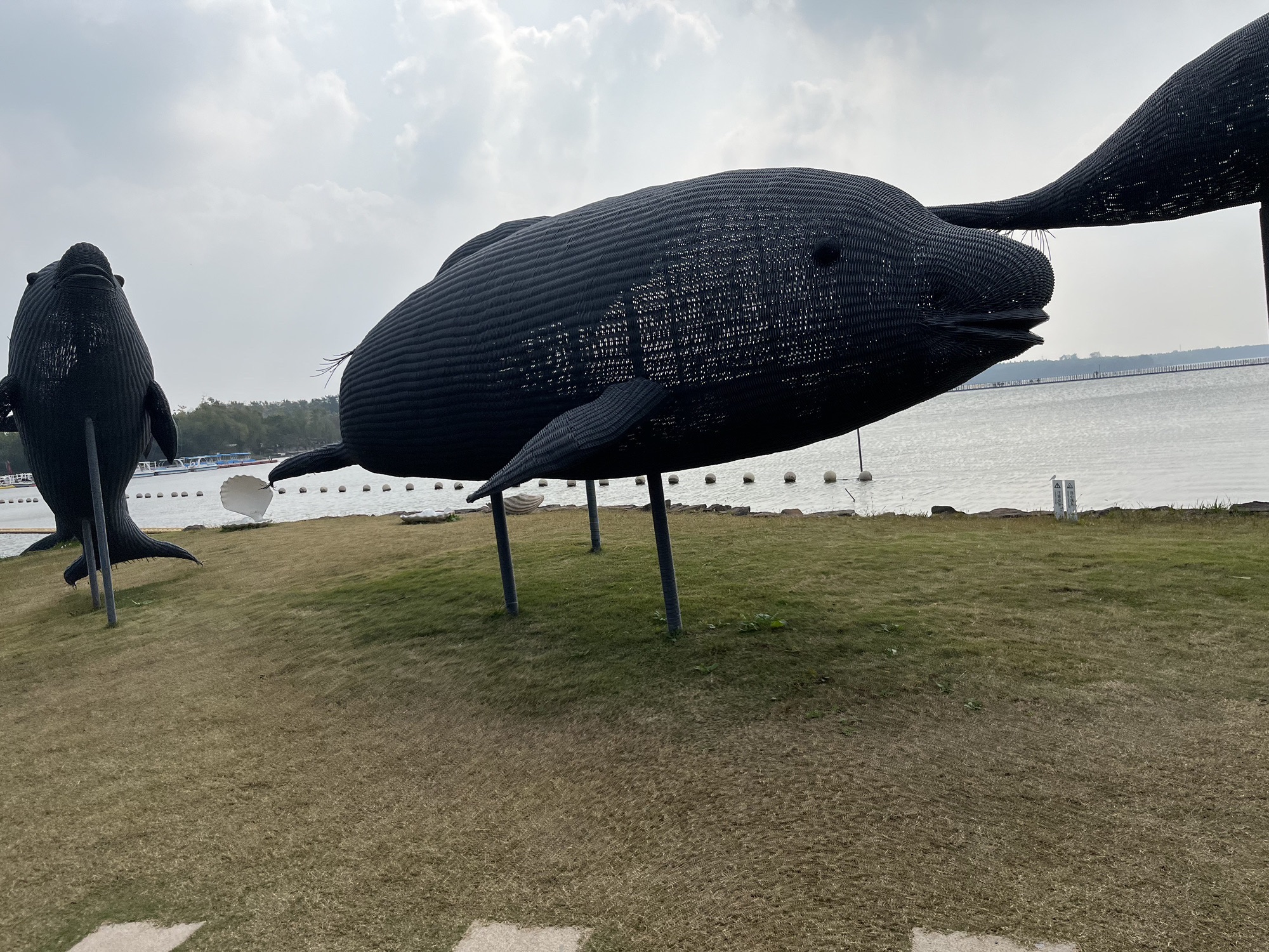 西沙明珠湖景区旅行图片 3