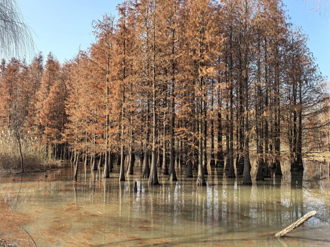 西沙明珠湖景区旅行图片 3