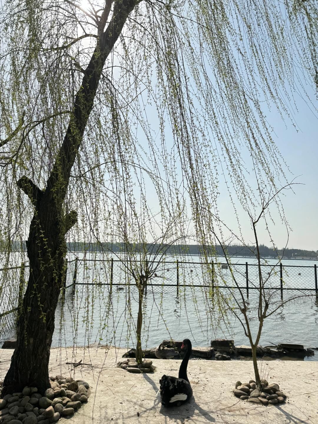 西沙明珠湖景区旅行图片 1
