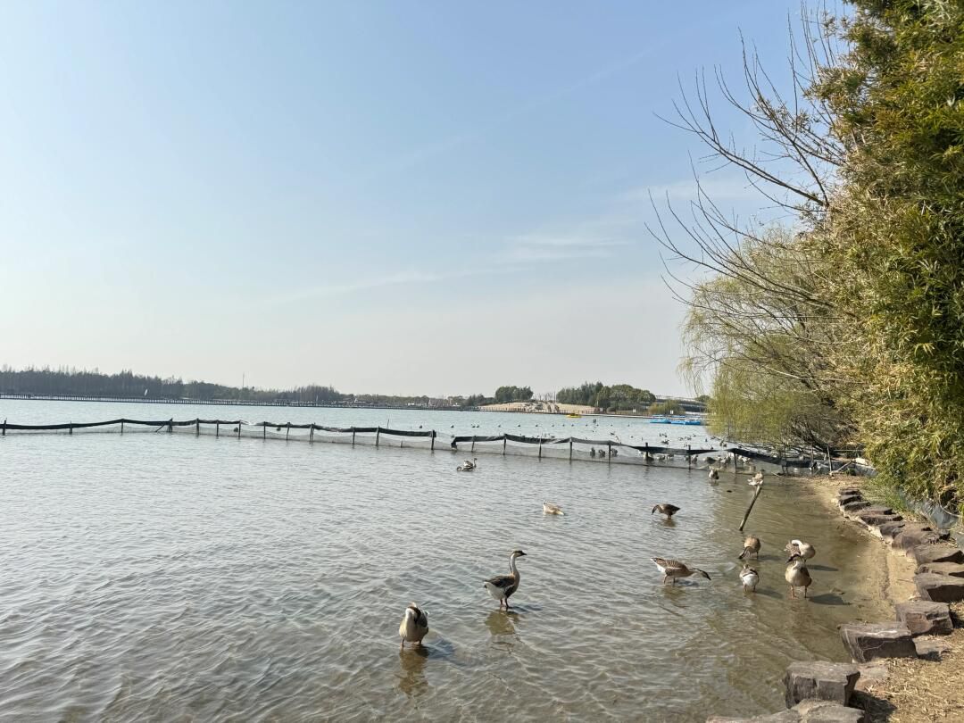 西沙明珠湖景区旅行图片 2