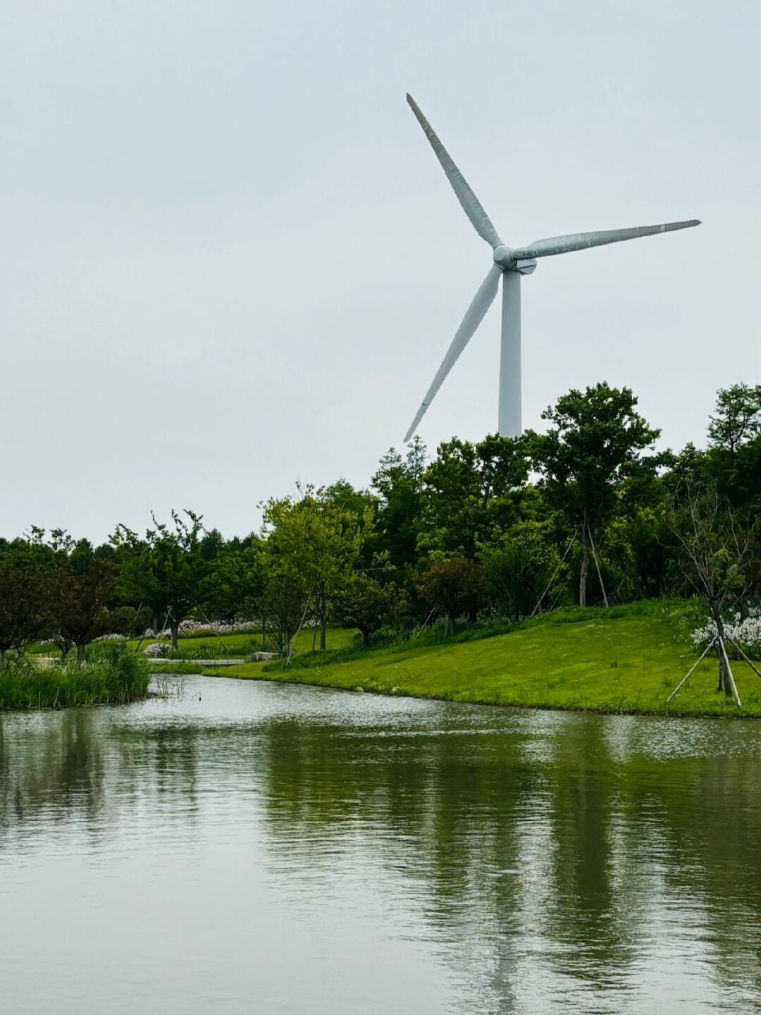 上海东滩湿地公园旅行图片 2
