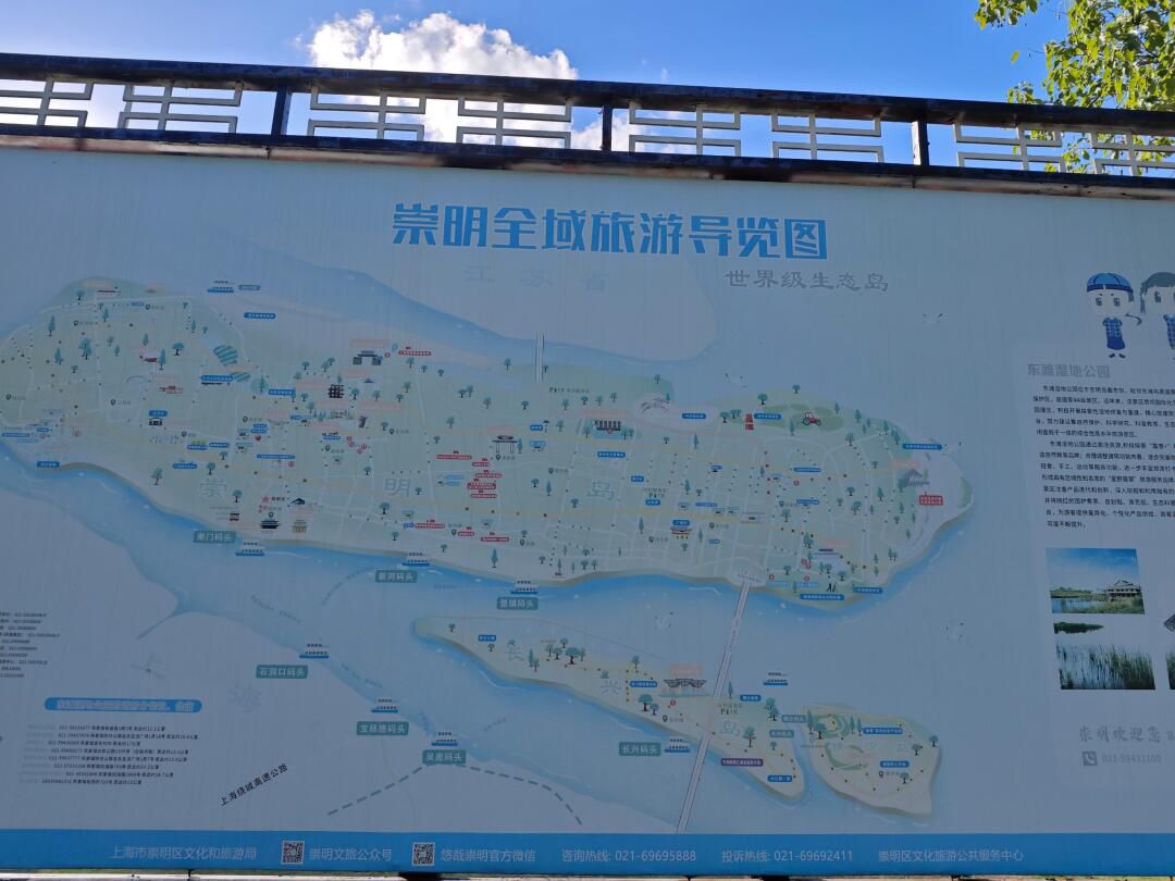 上海东滩湿地公园旅行图片 3