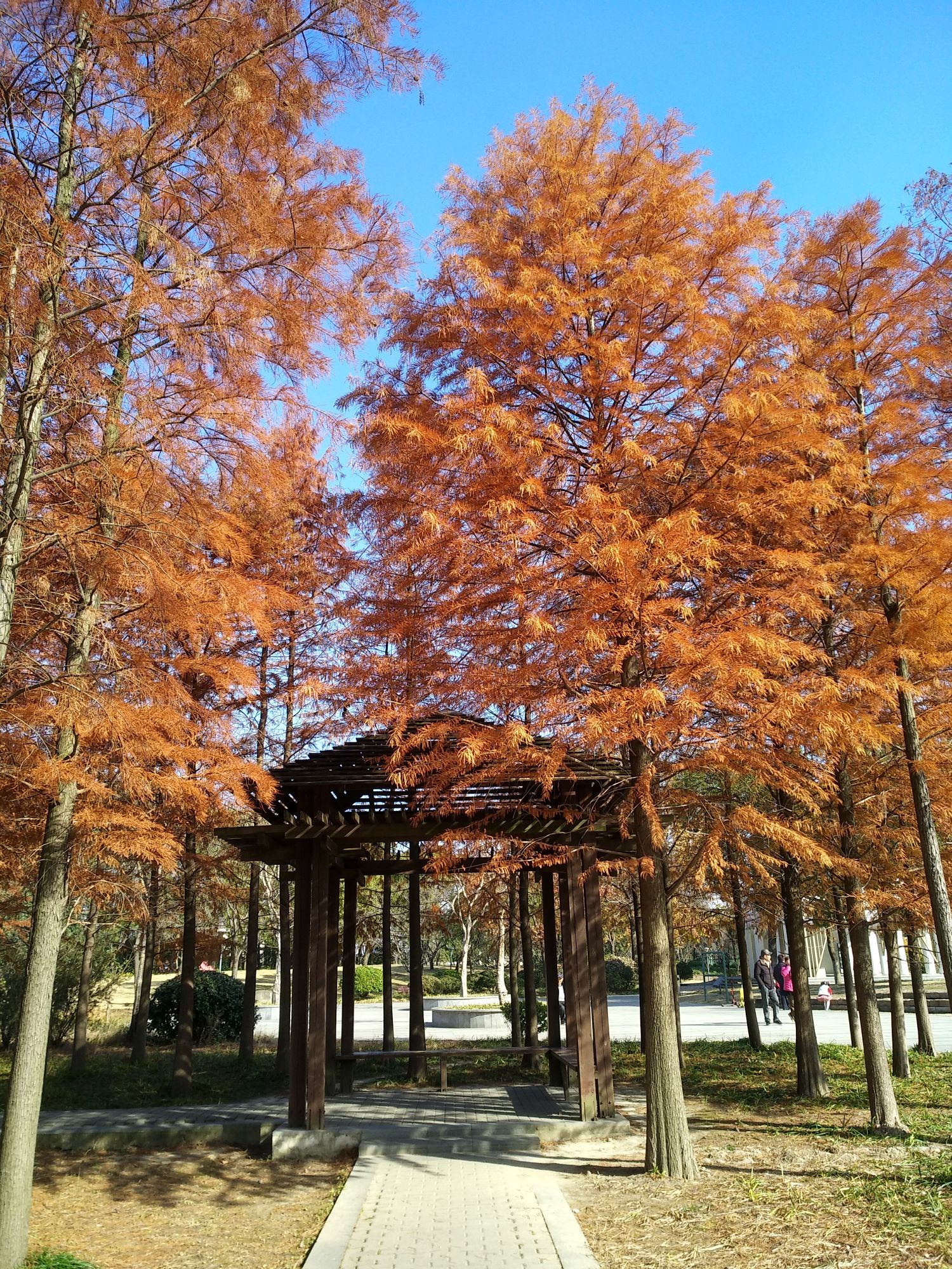 颐景园旅行图片 1