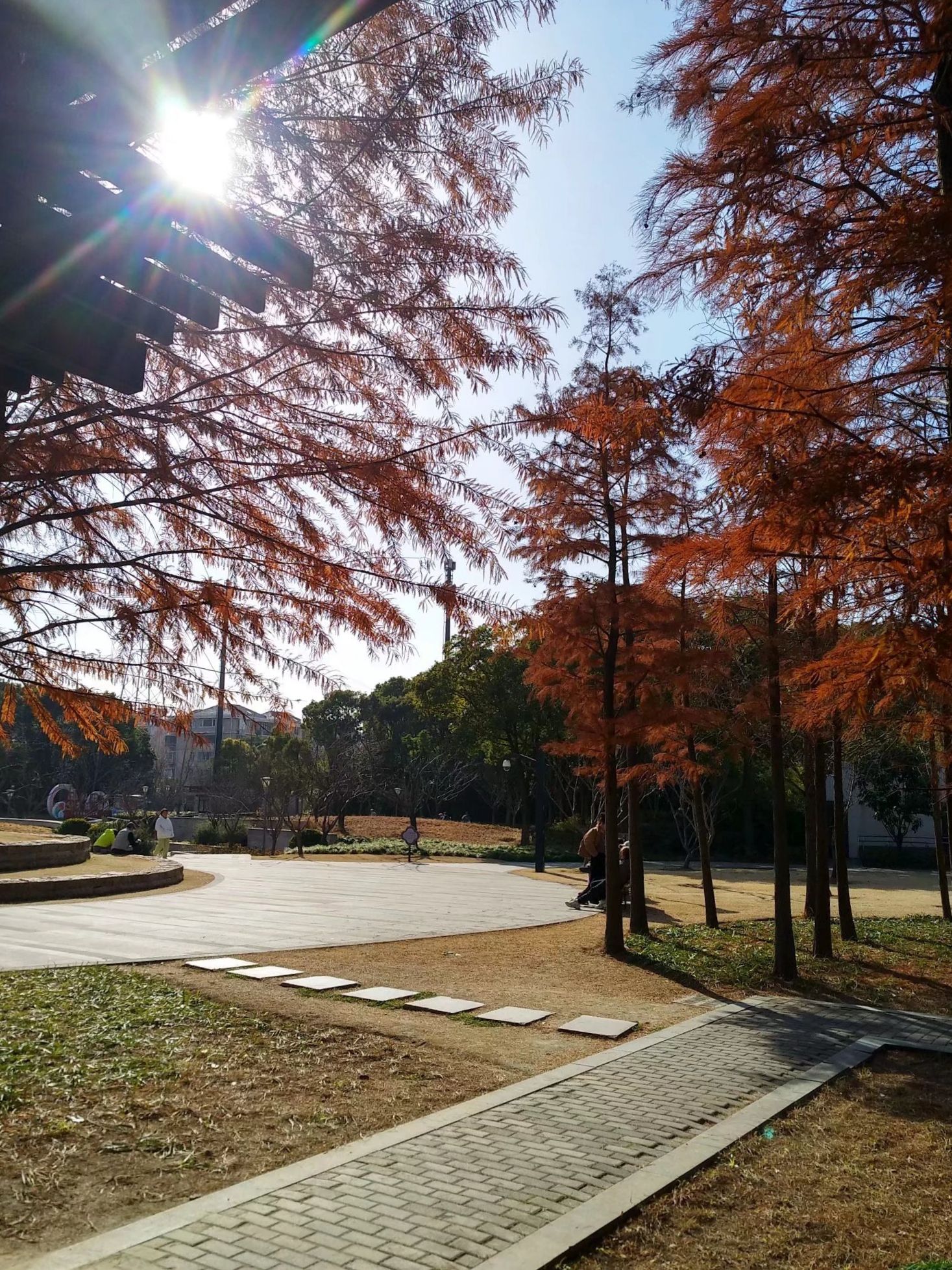 颐景园旅行图片 3