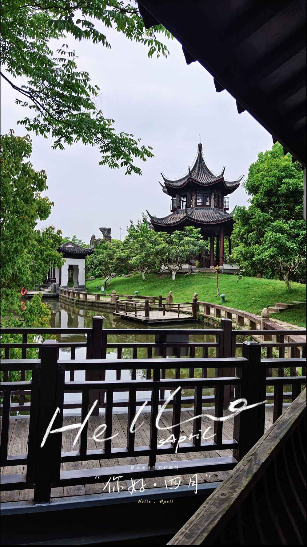 上海联怡枇杷乐园旅行图片 2