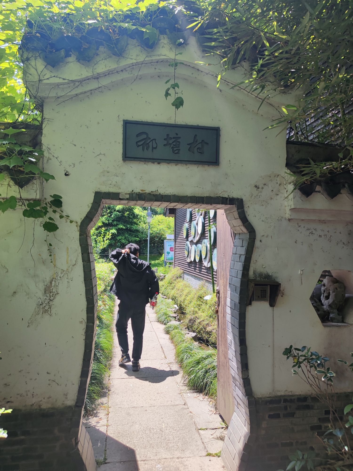 上海联怡枇杷乐园旅行图片 2