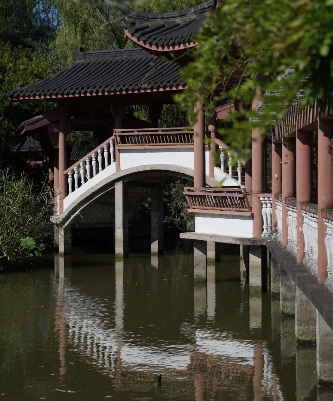 镜园旅行图片 3