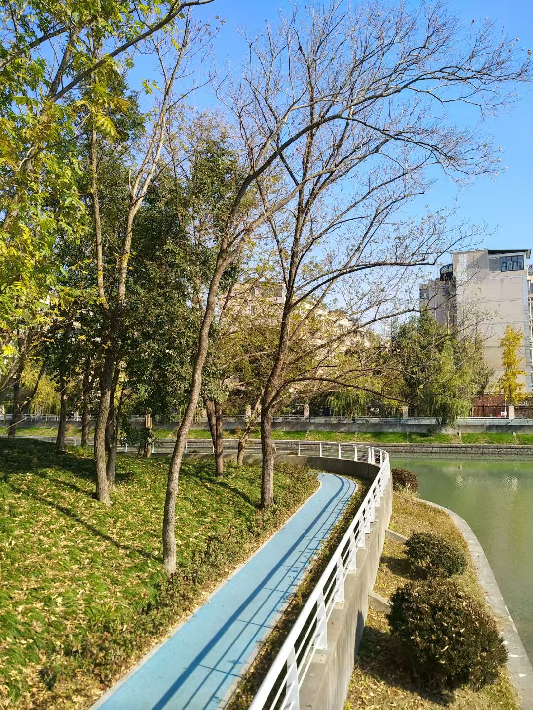庙行公园旅行图片 3