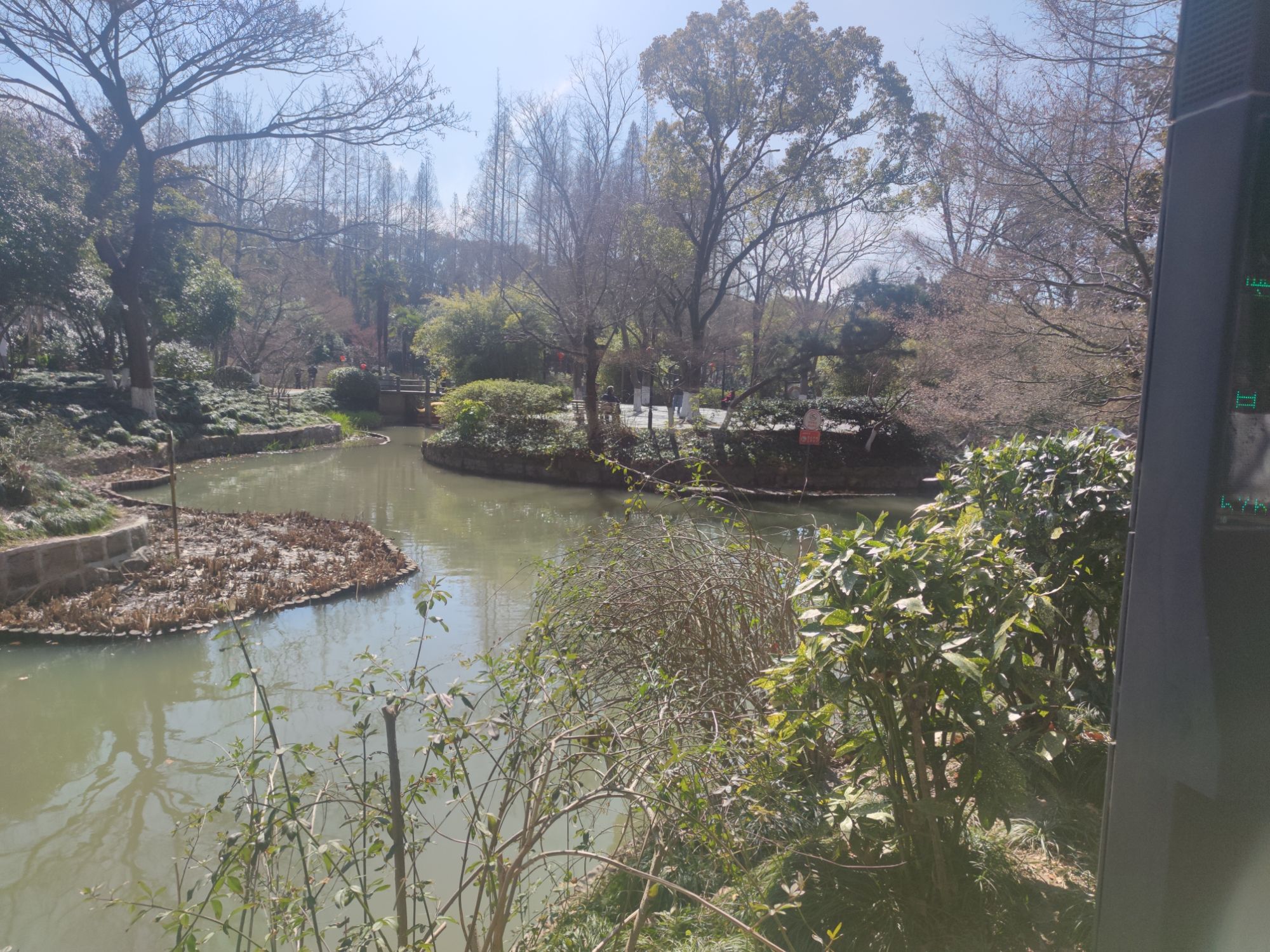 红园旅行图片 3