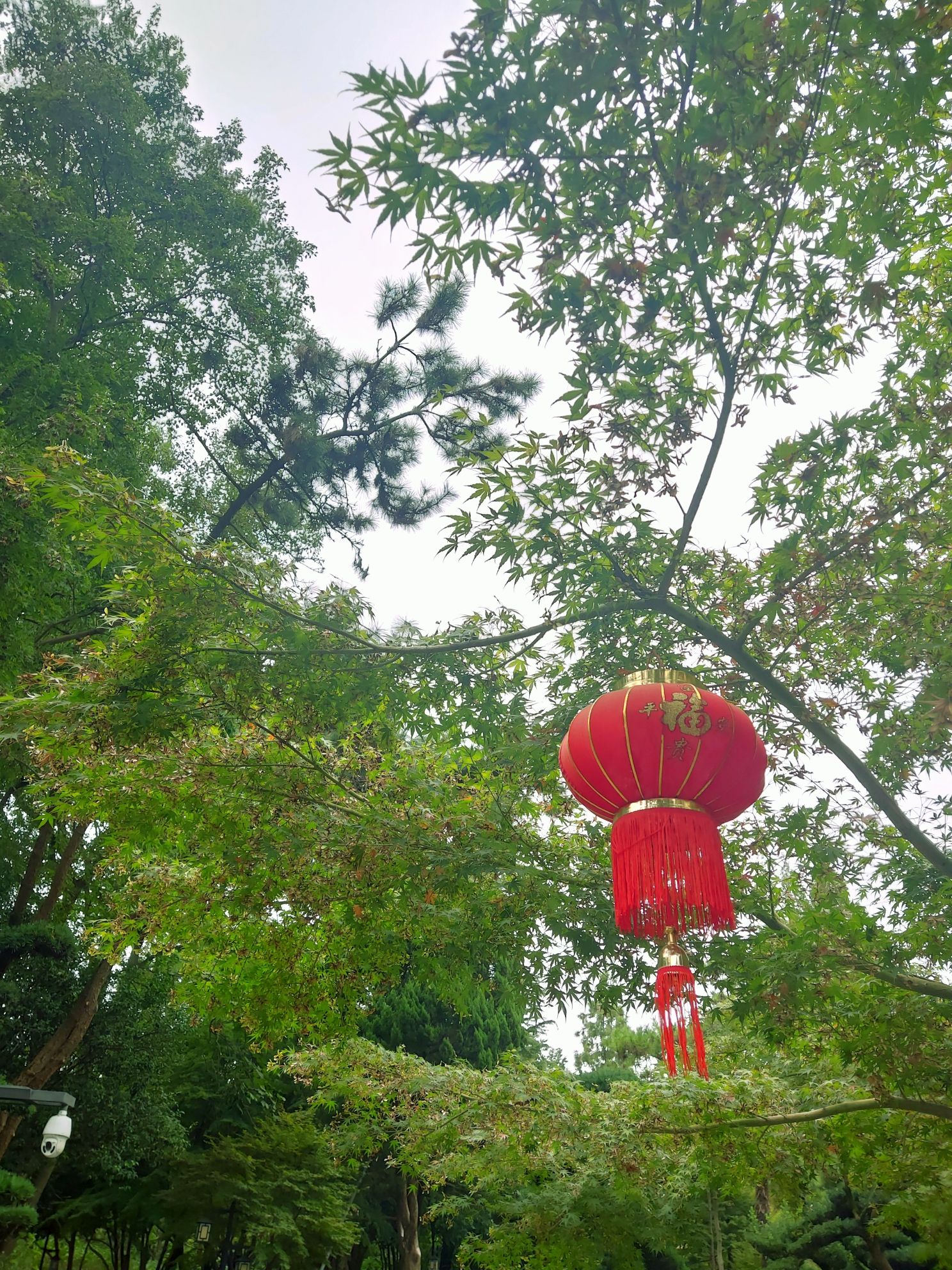 红园旅行图片 2