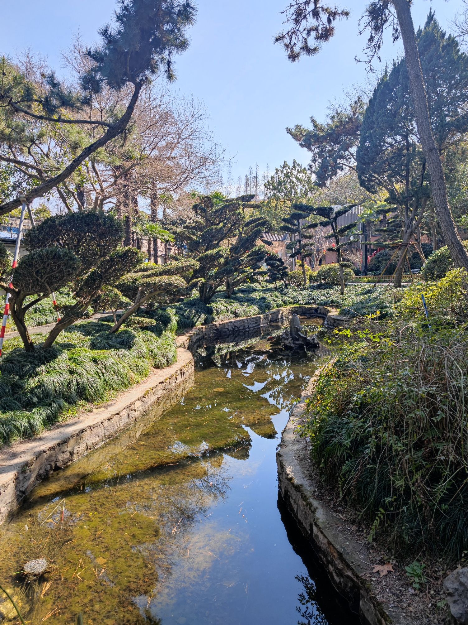 红园旅行图片 3