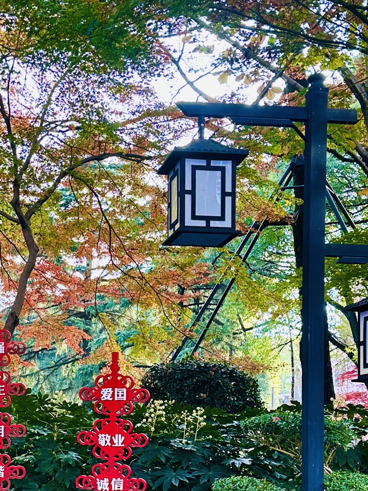 红园旅行图片 1