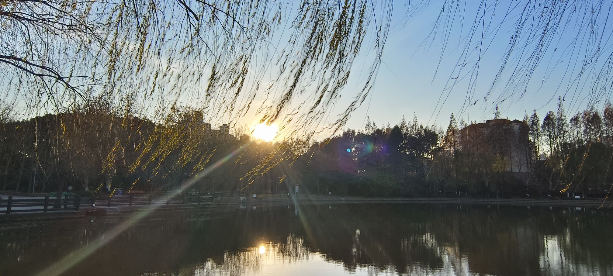 月浦公园旅行图片 2