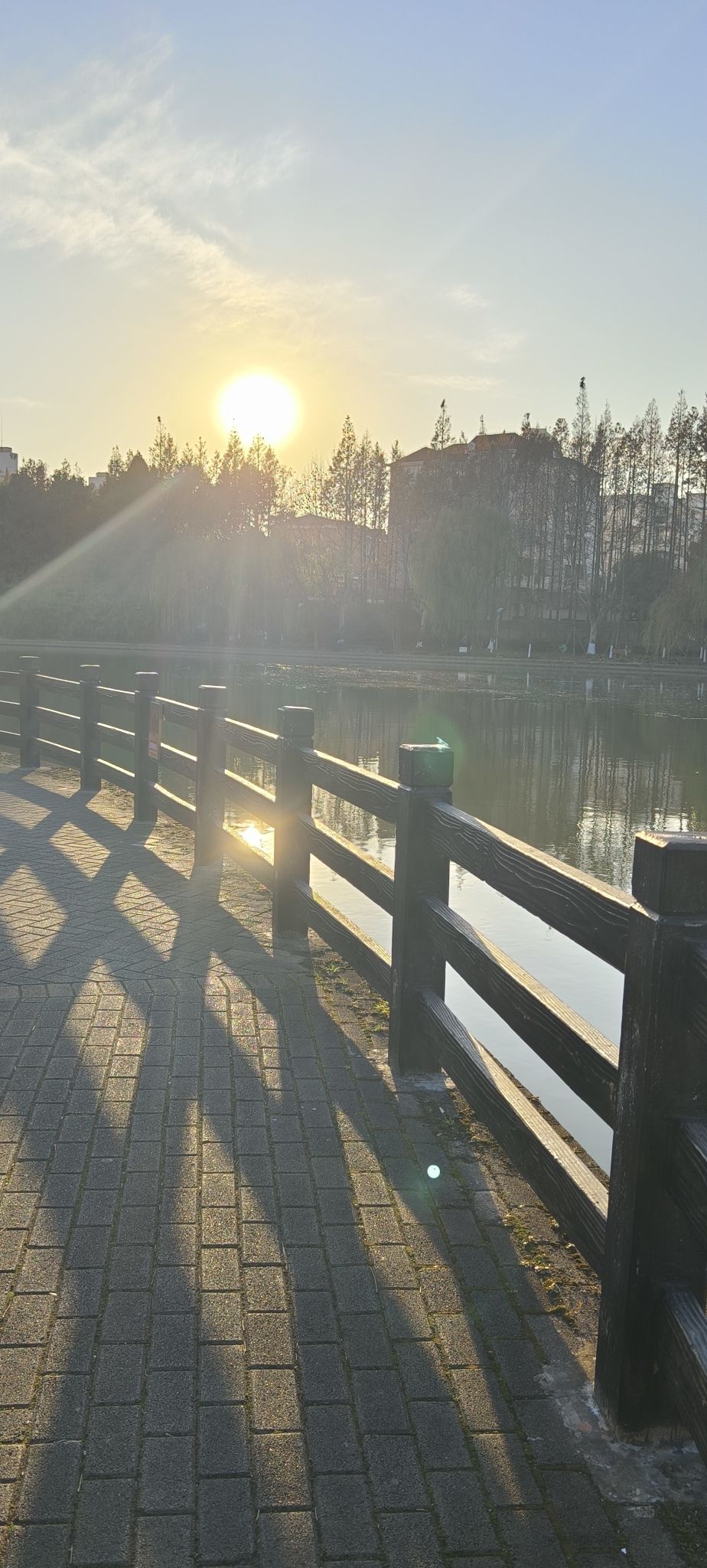 月浦公园旅行图片 3