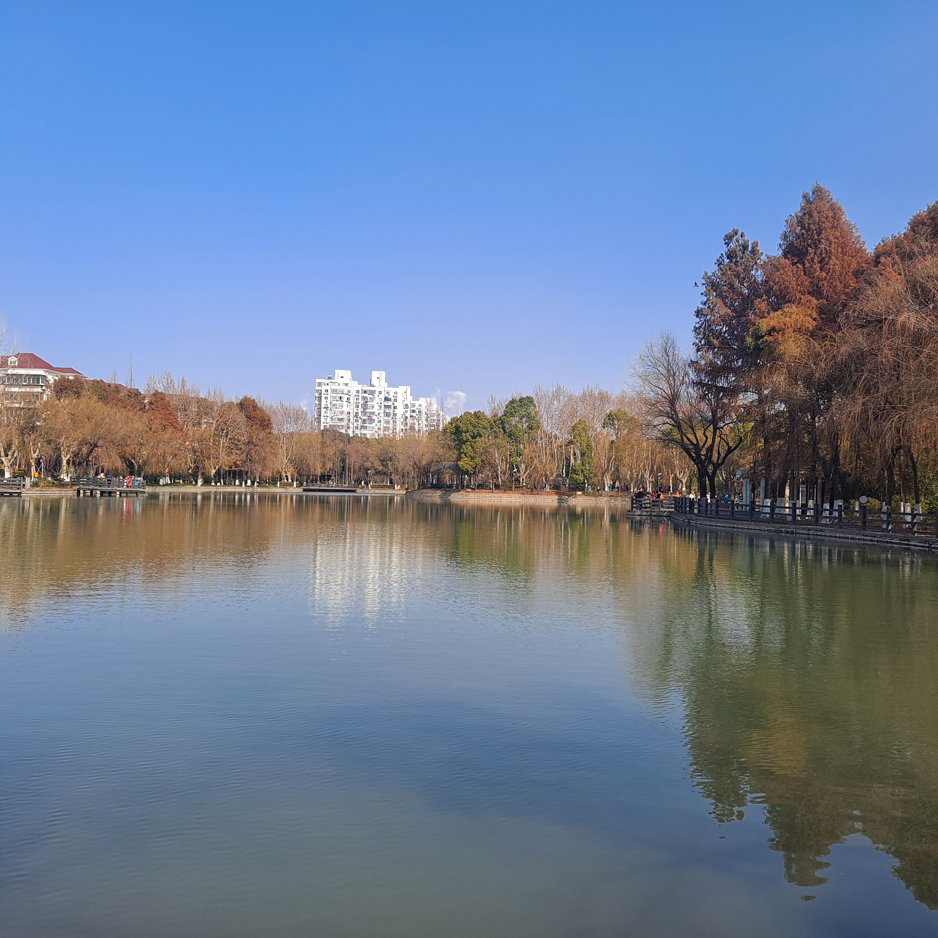 月浦公园旅行图片 2