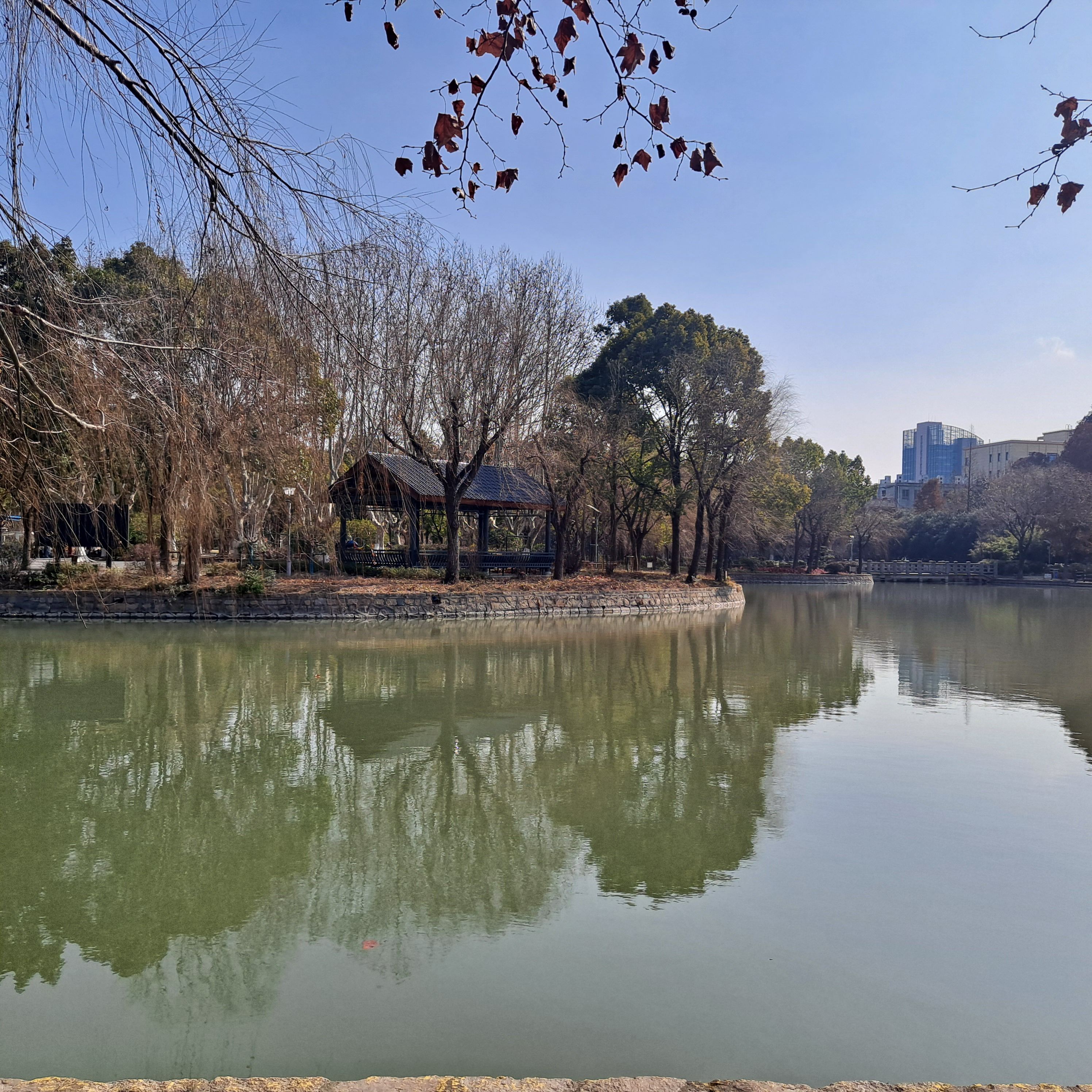 月浦公园旅行图片 3