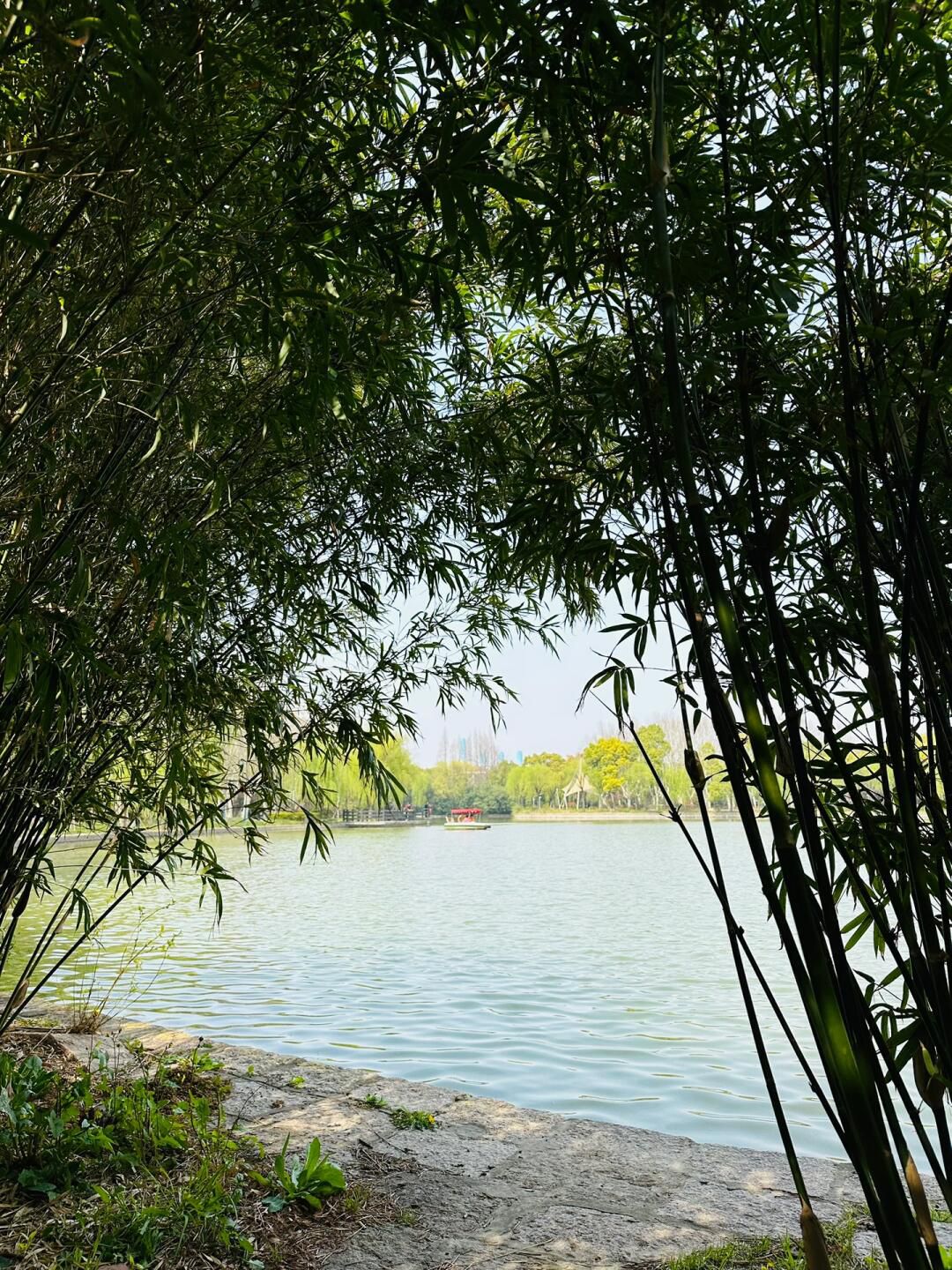 月浦公园旅行图片 3