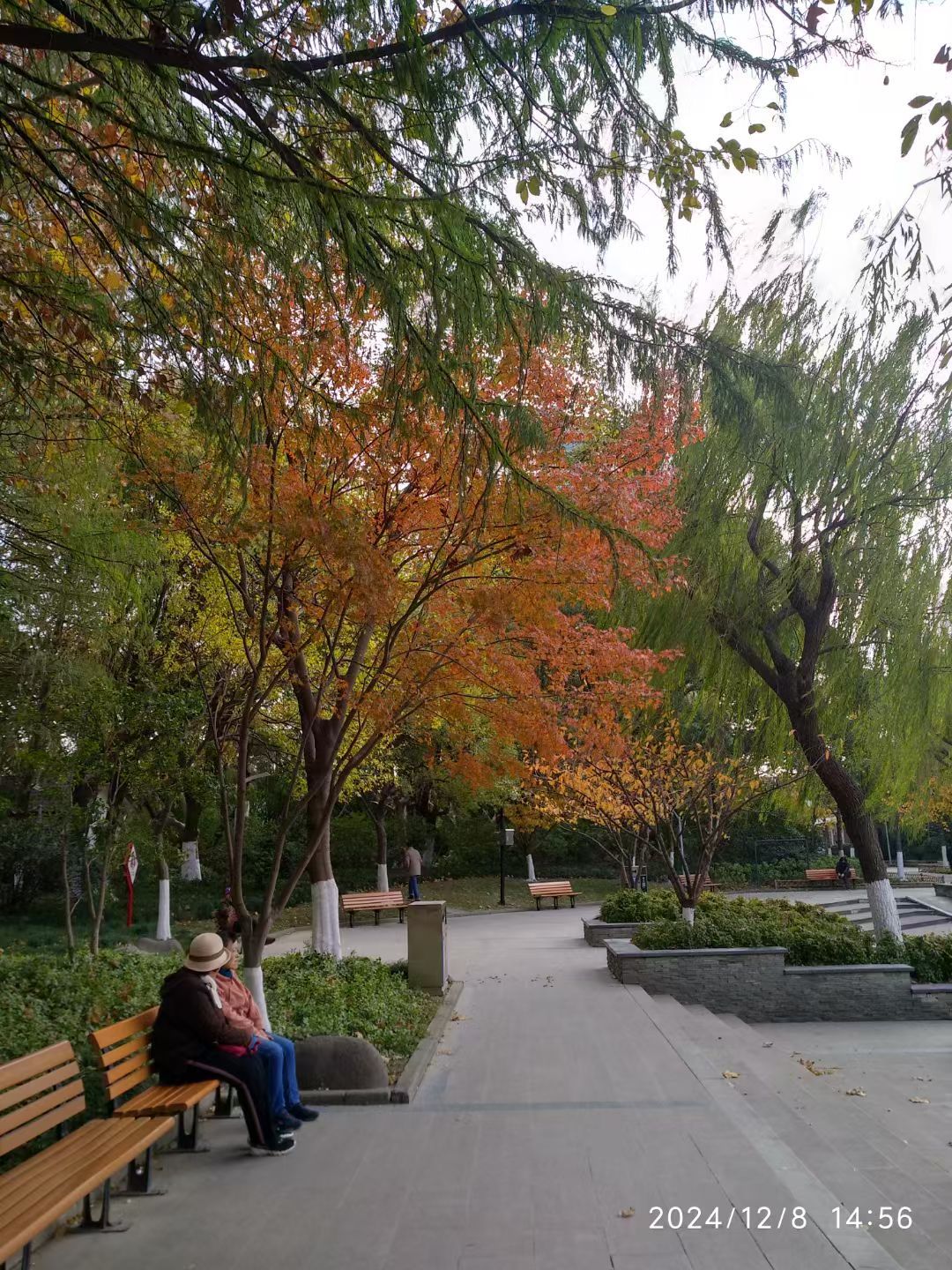 月浦公园旅行图片 1
