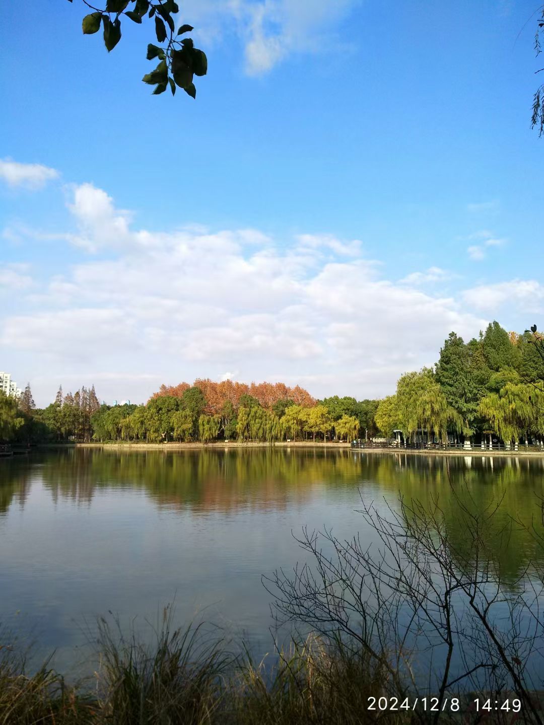 月浦公园旅行图片 2