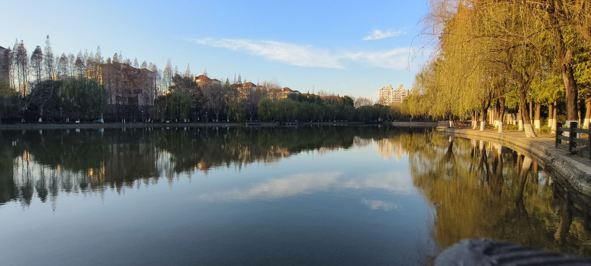 月浦公园旅行图片 1