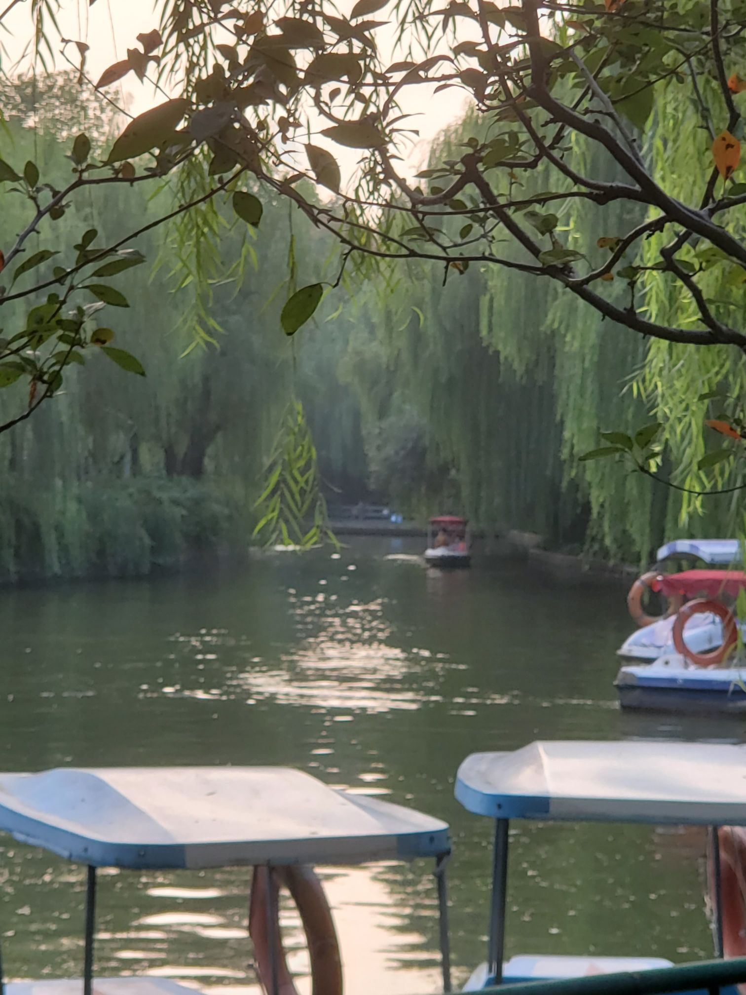 月浦公园旅行图片 1