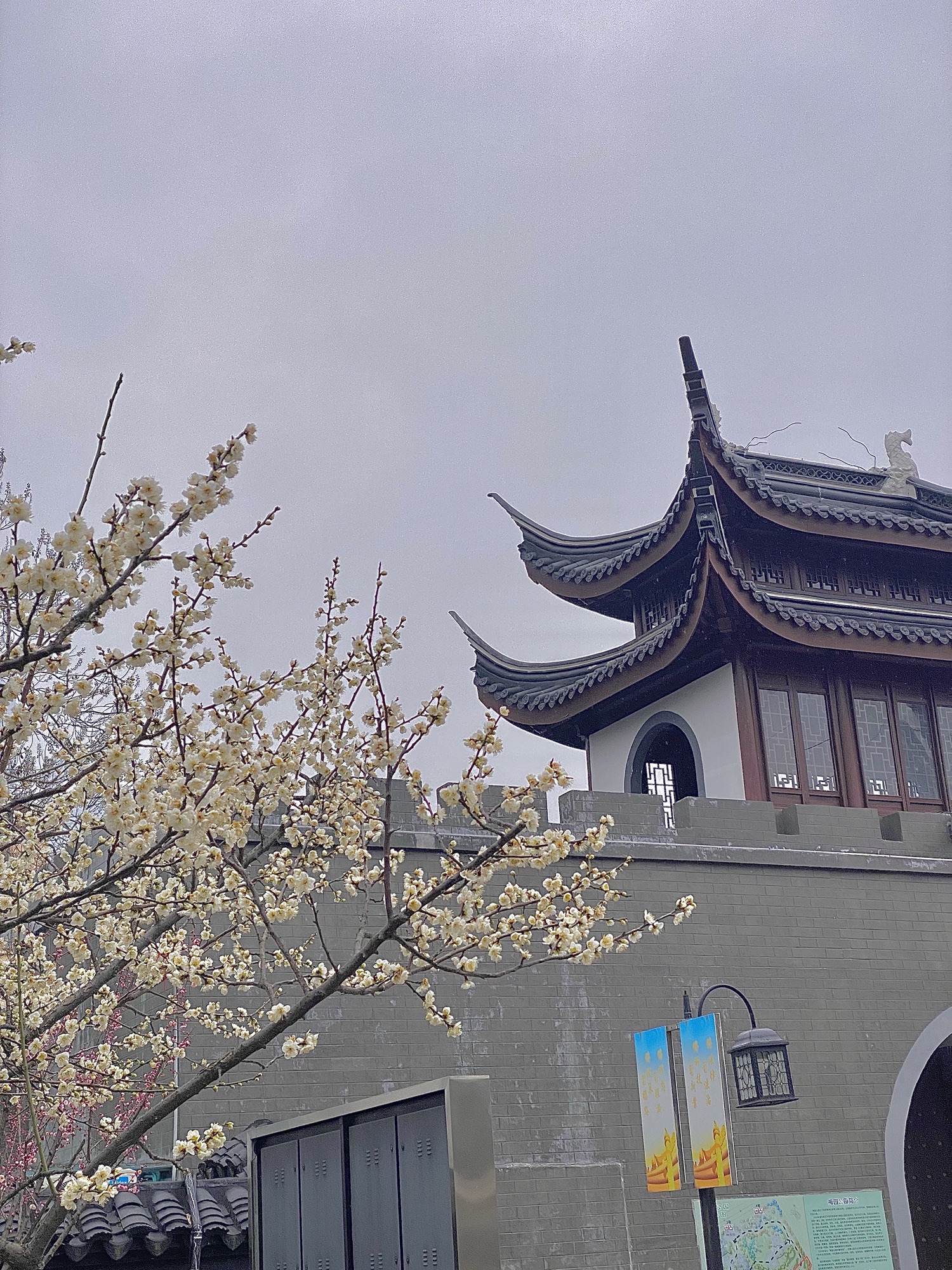 梅园公园旅行图片 2