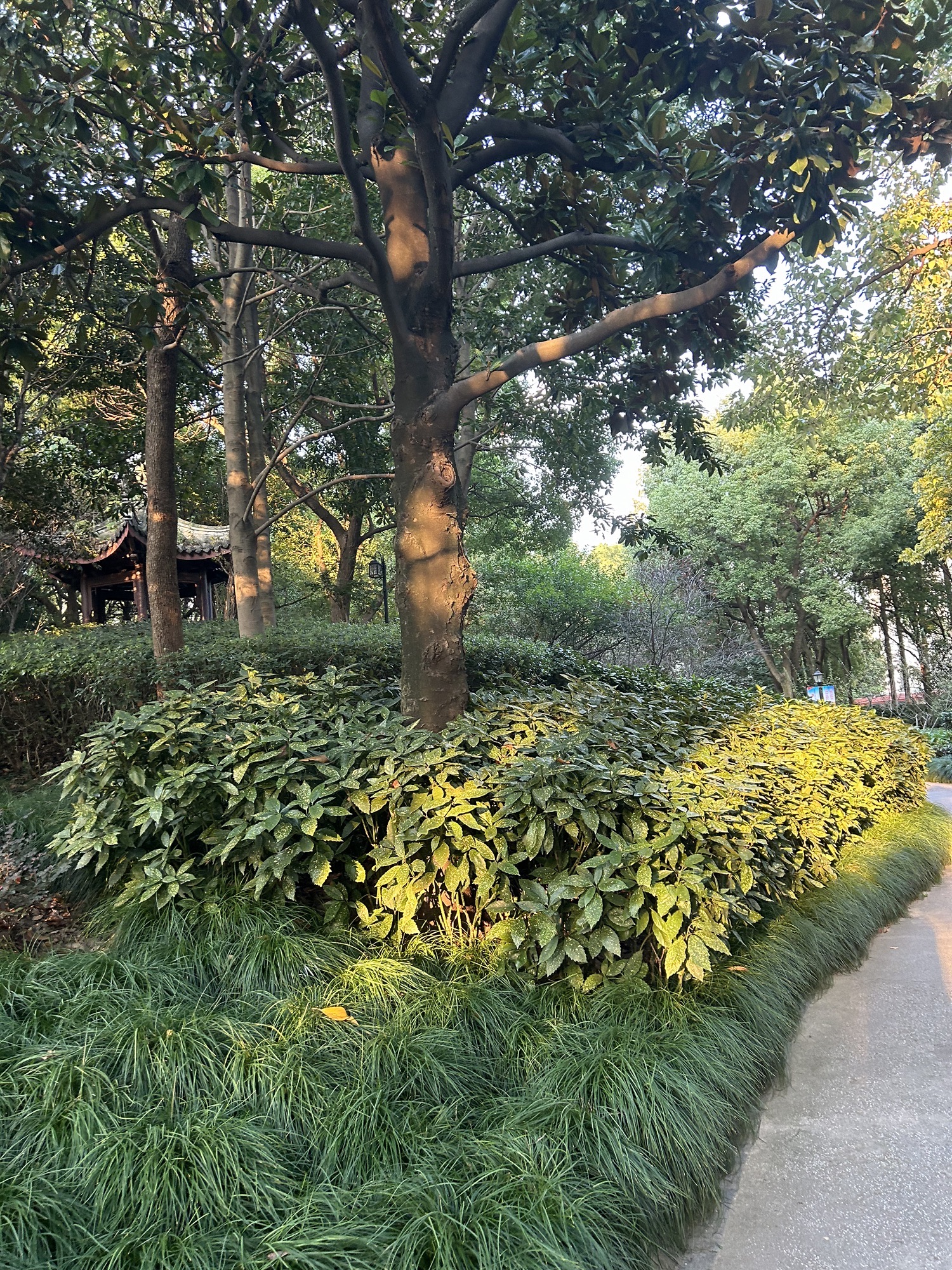 梅园公园旅行图片 3