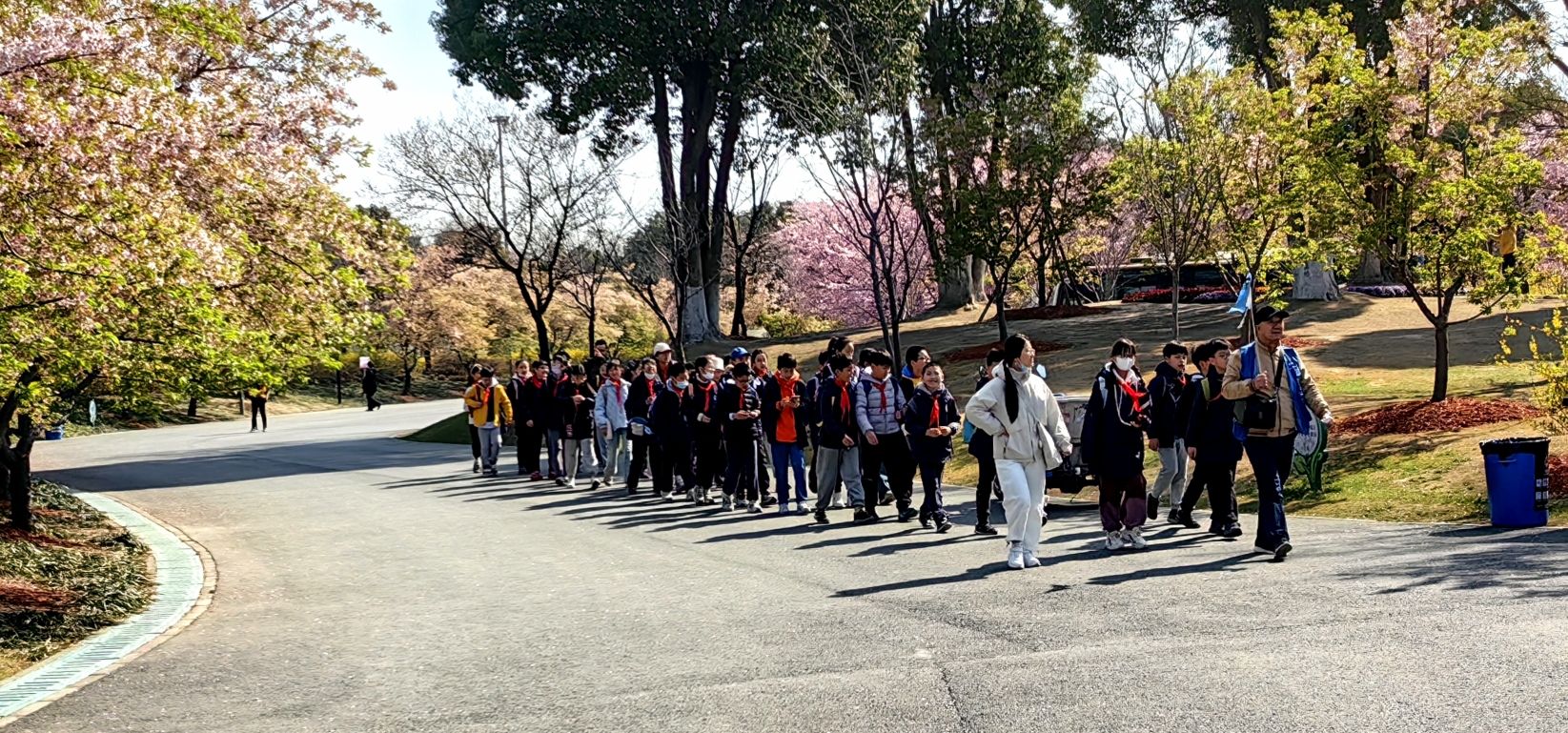 上海顾村公园旅行图片 2