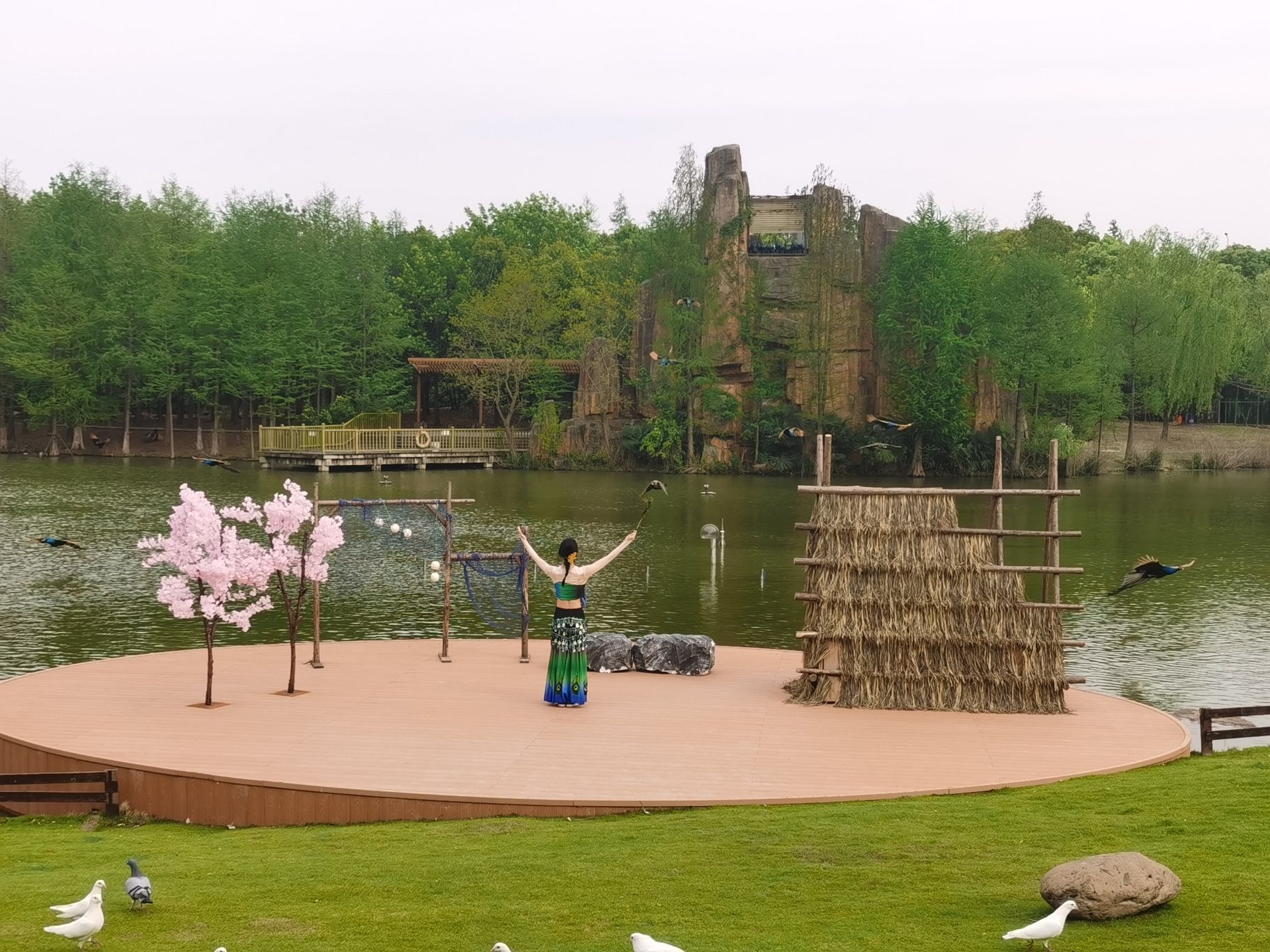 上海顾村公园旅行图片 1
