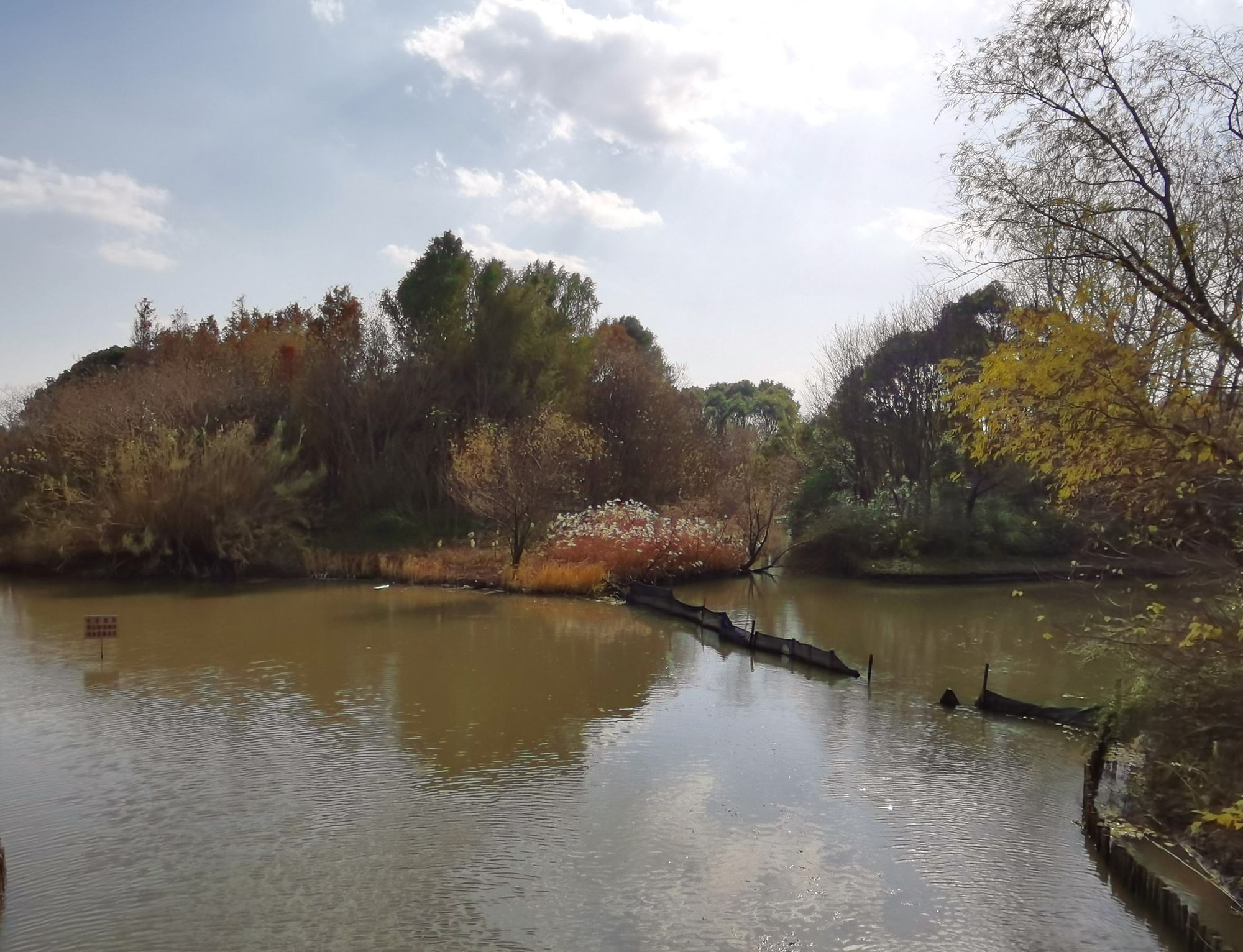 浦东金海湿地公园旅行图片 2