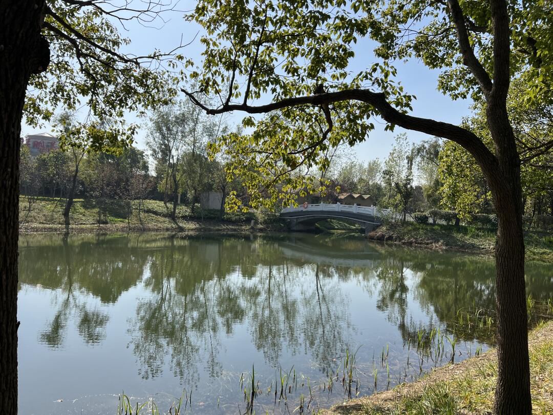 浦东金海湿地公园旅行图片 2
