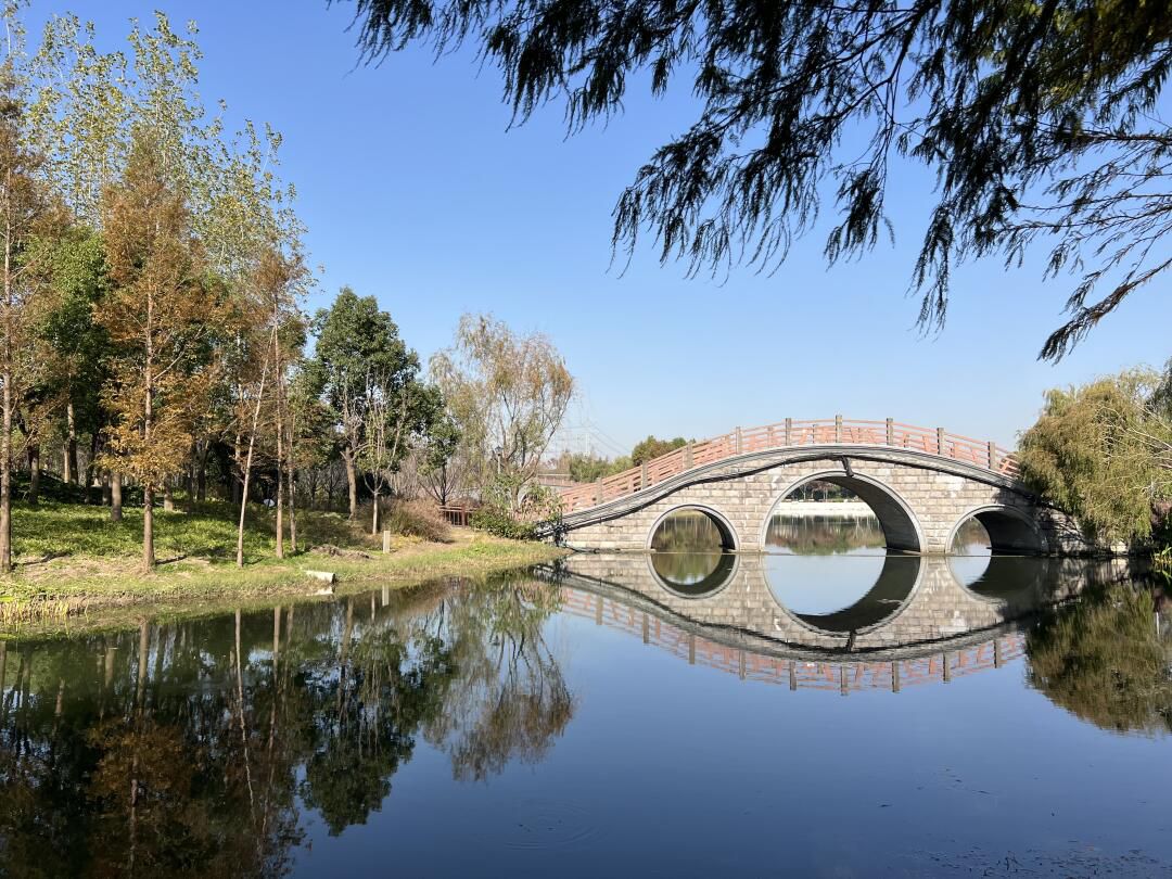 浦东金海湿地公园旅行图片 3