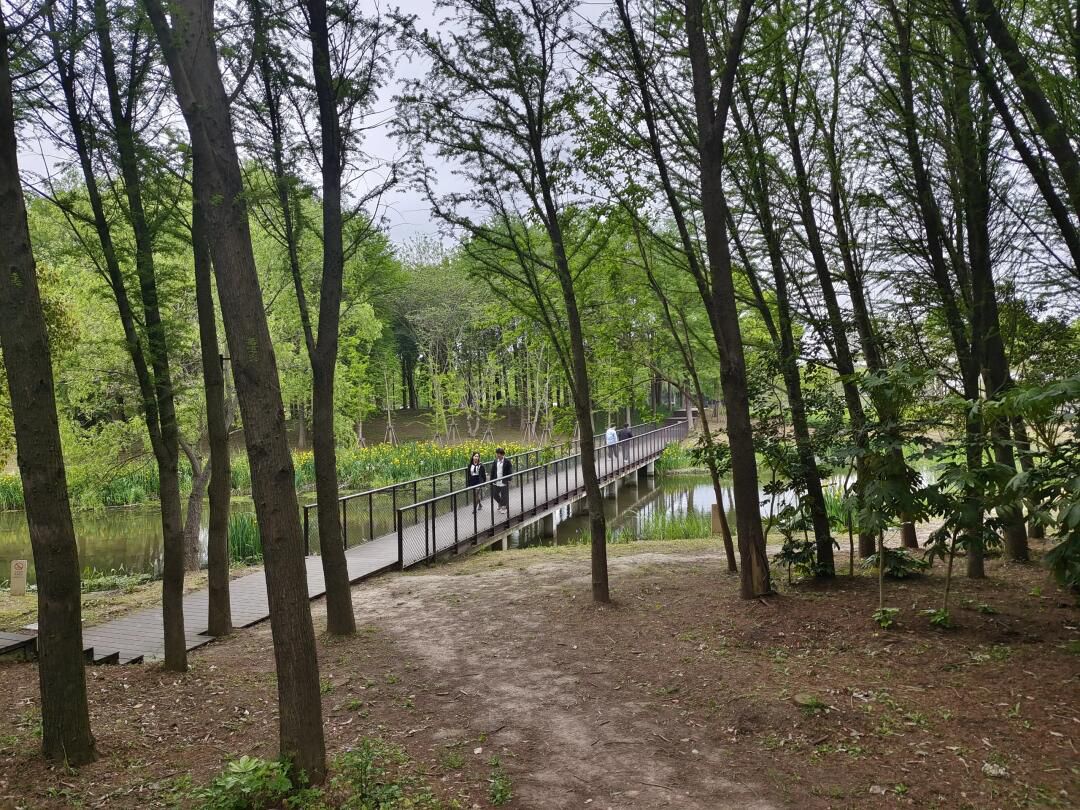 浦东金海湿地公园旅行图片 1