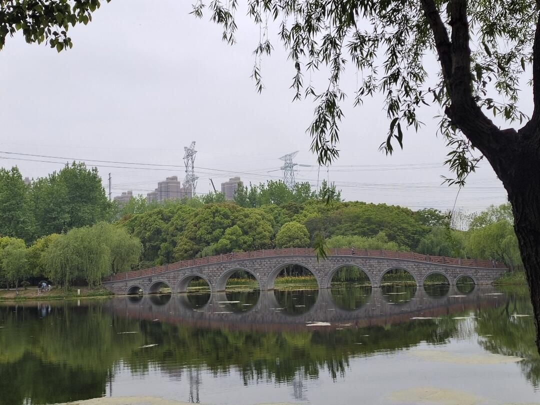 浦东金海湿地公园旅行图片 2