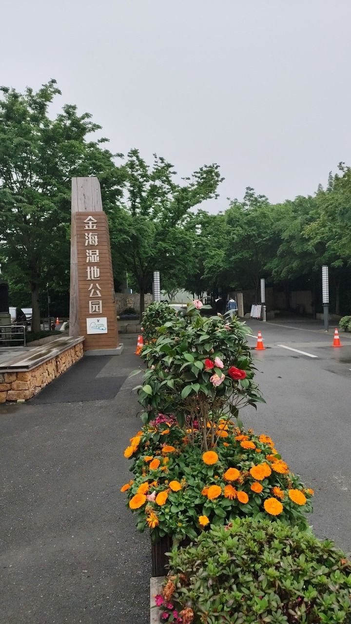 浦东金海湿地公园旅行图片 1