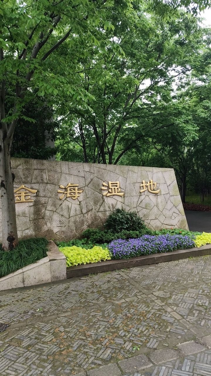 浦东金海湿地公园旅行图片 2