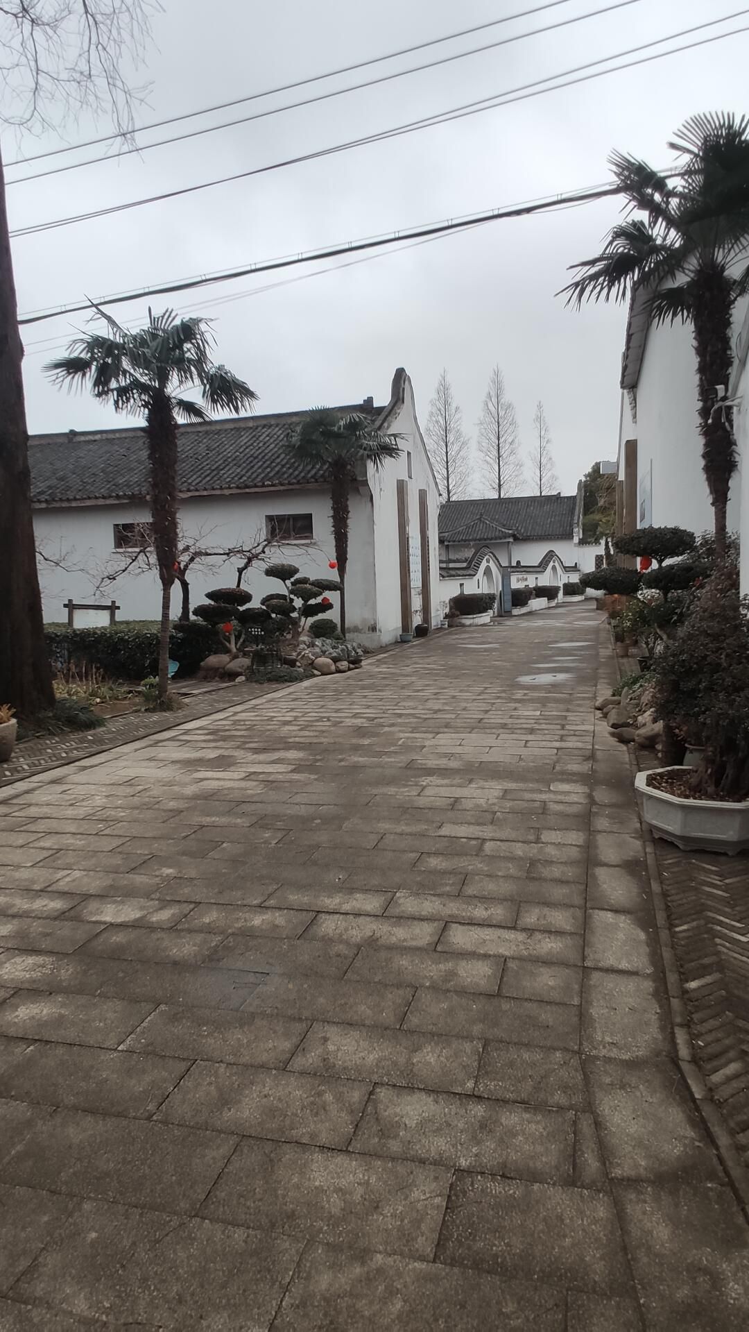 上海江南三民文化村旅行图片 1
