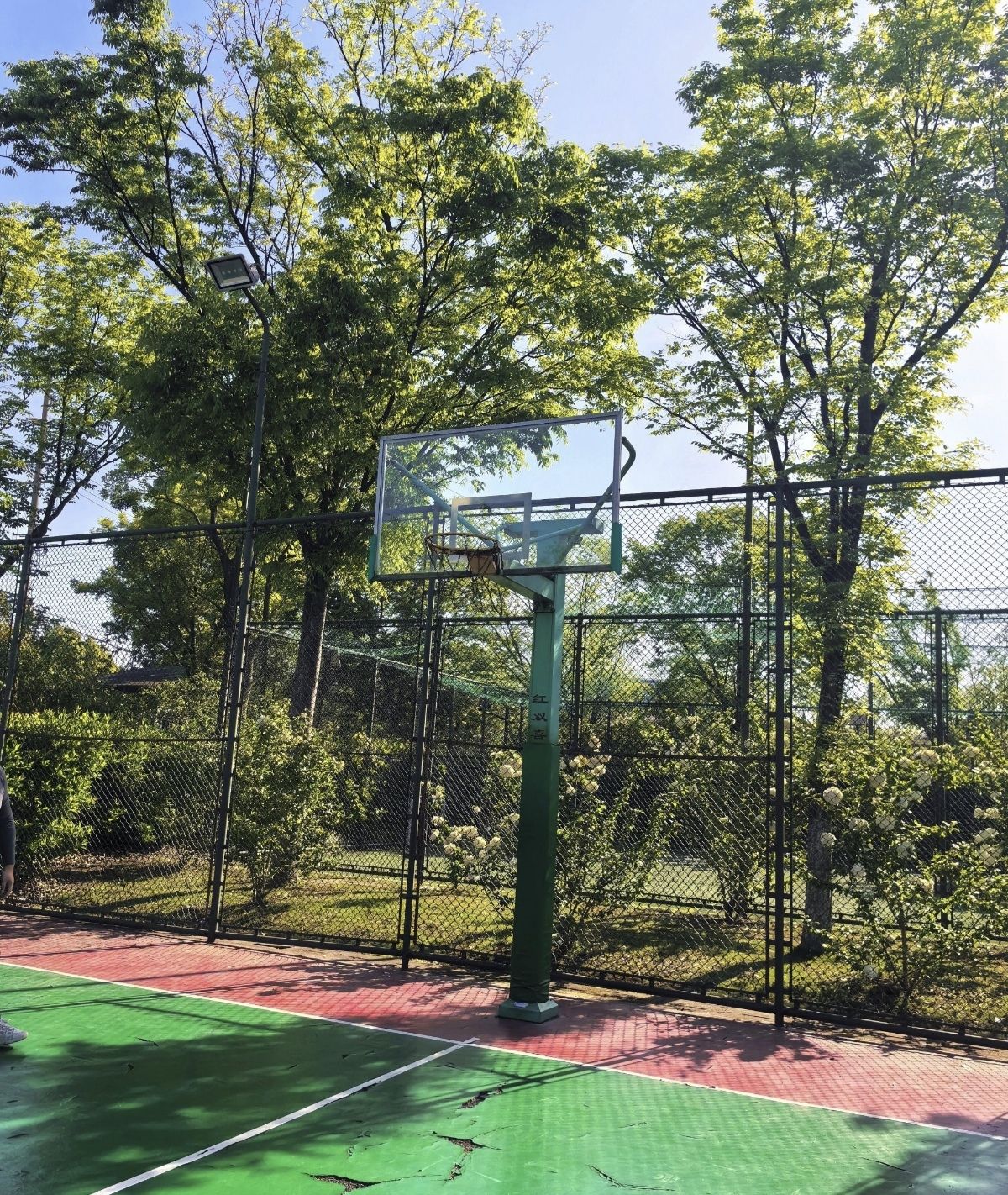 阳泉公园旅行图片 2