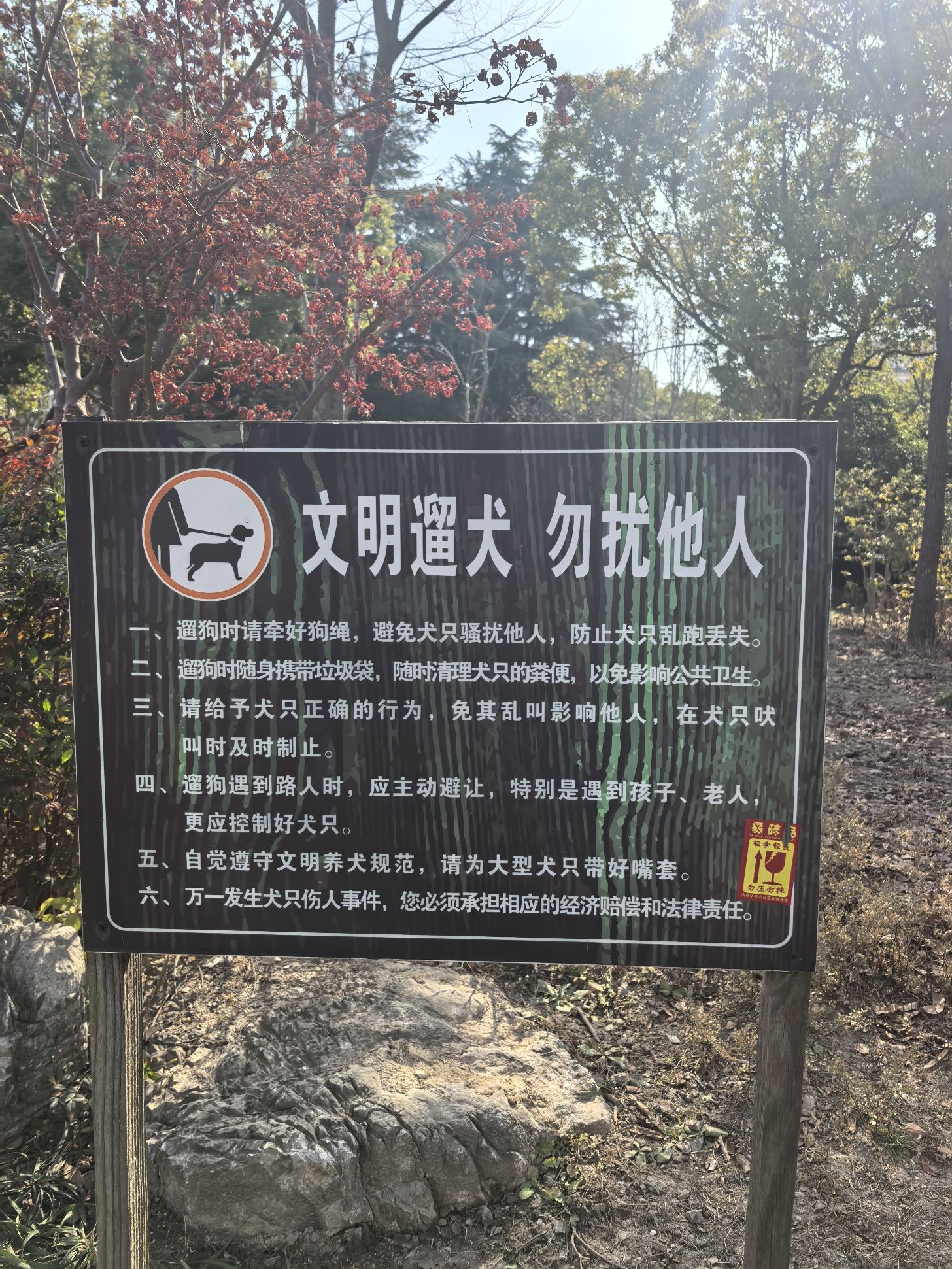 阳泉公园旅行图片 2