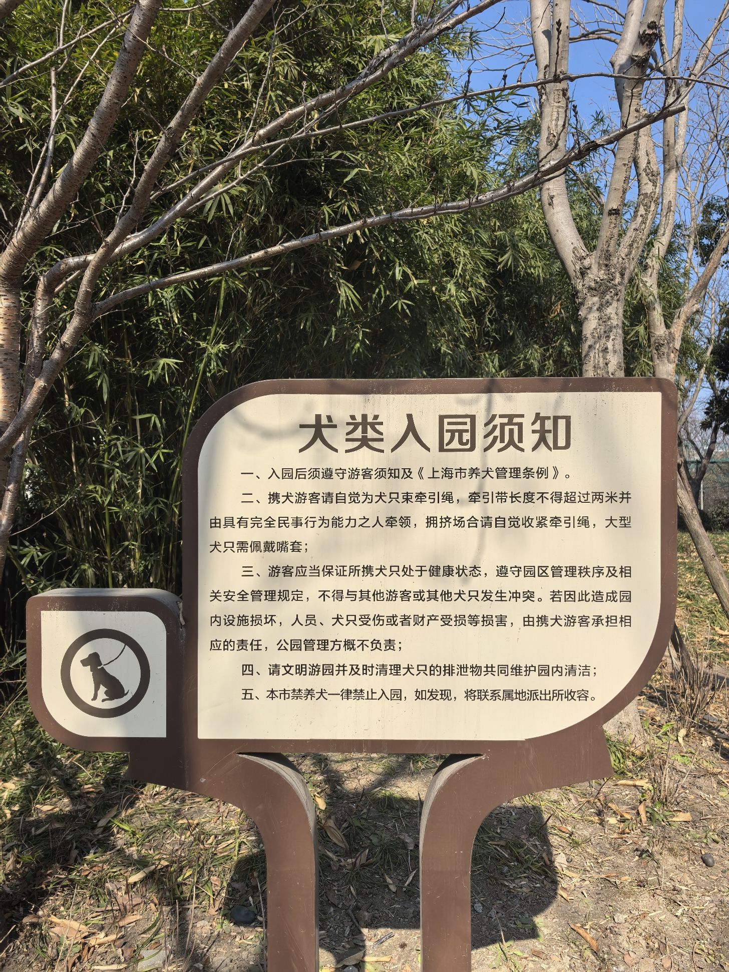 阳泉公园旅行图片 3