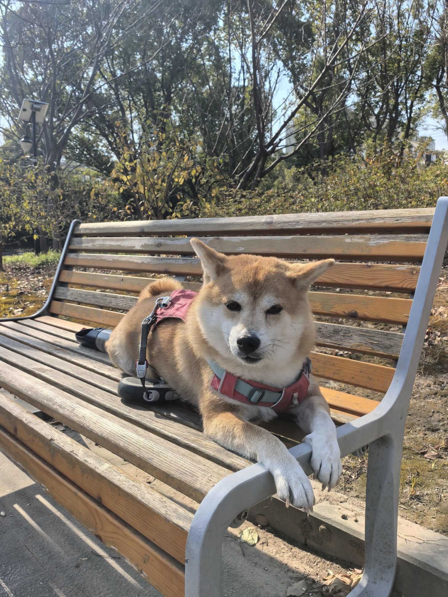 阳泉公园
