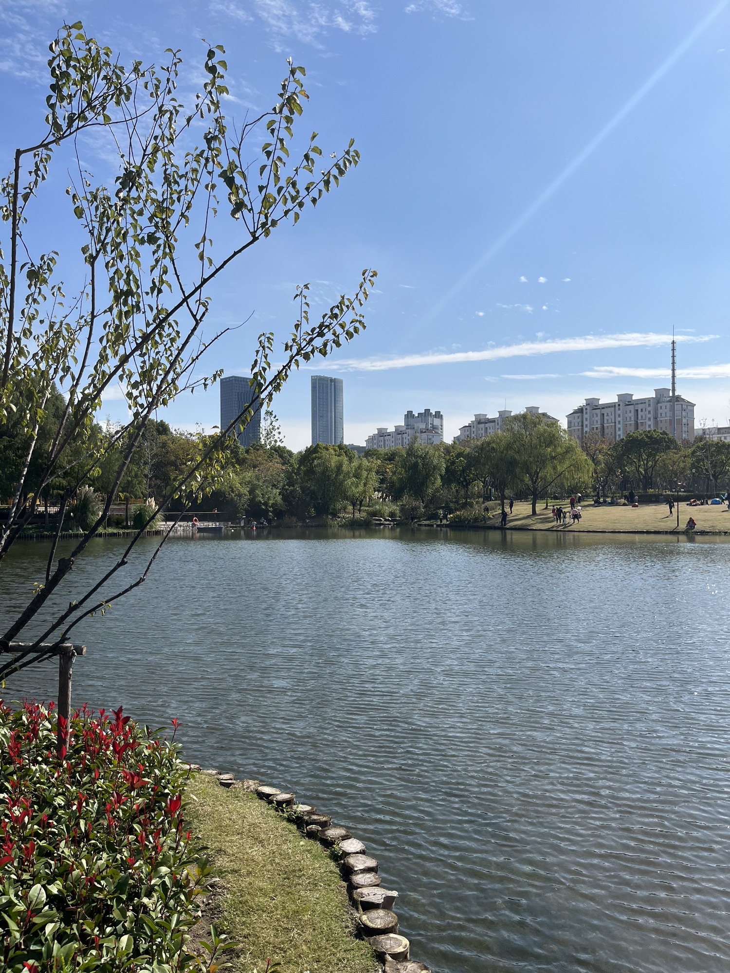 港城公园旅行图片 1