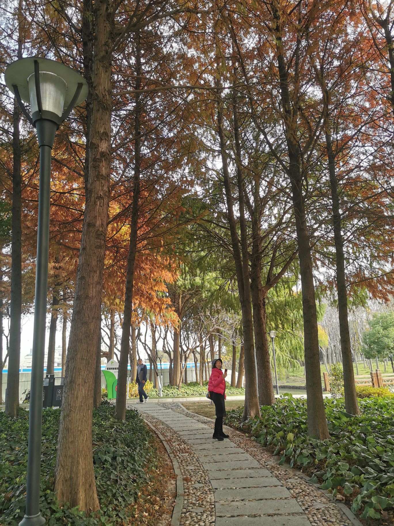 港城公园旅行图片 1
