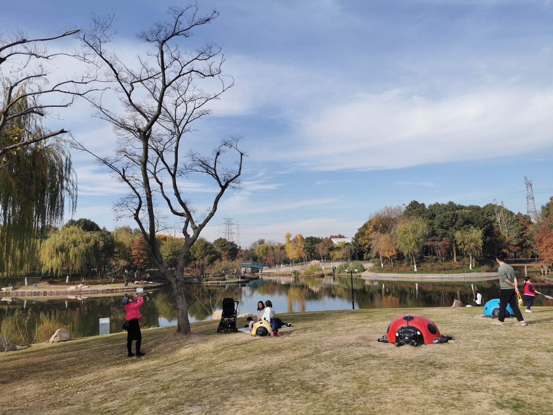 港城公园旅行图片 2