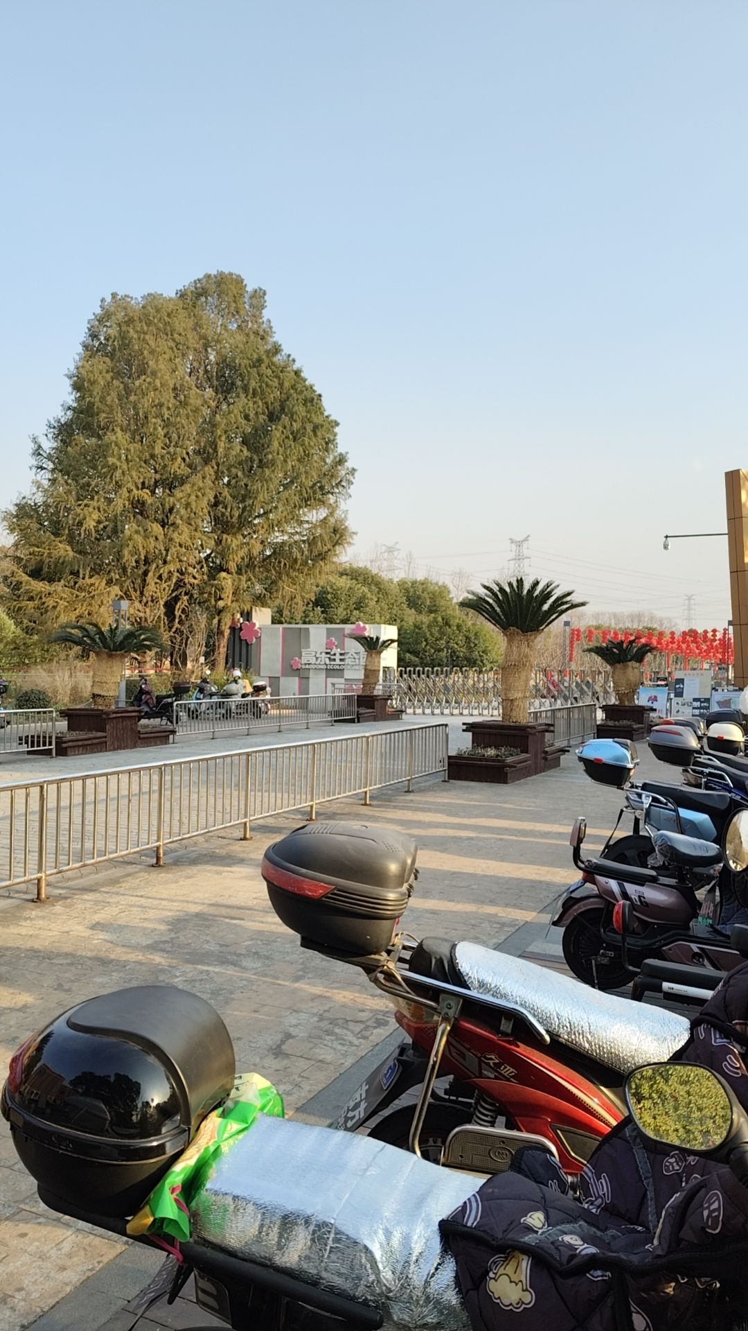 高东生态园旅行图片 2