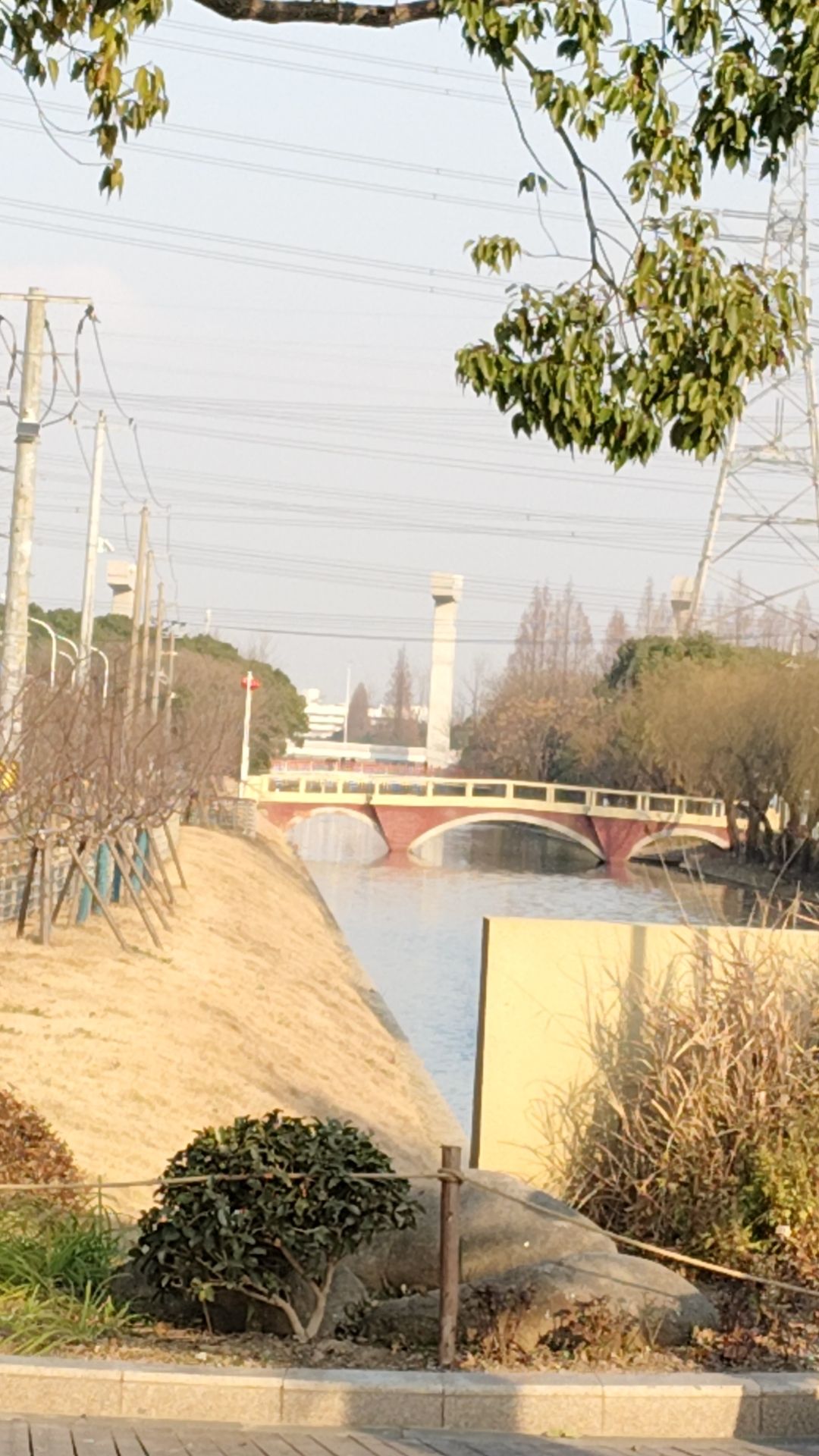 高东生态园旅行图片 1