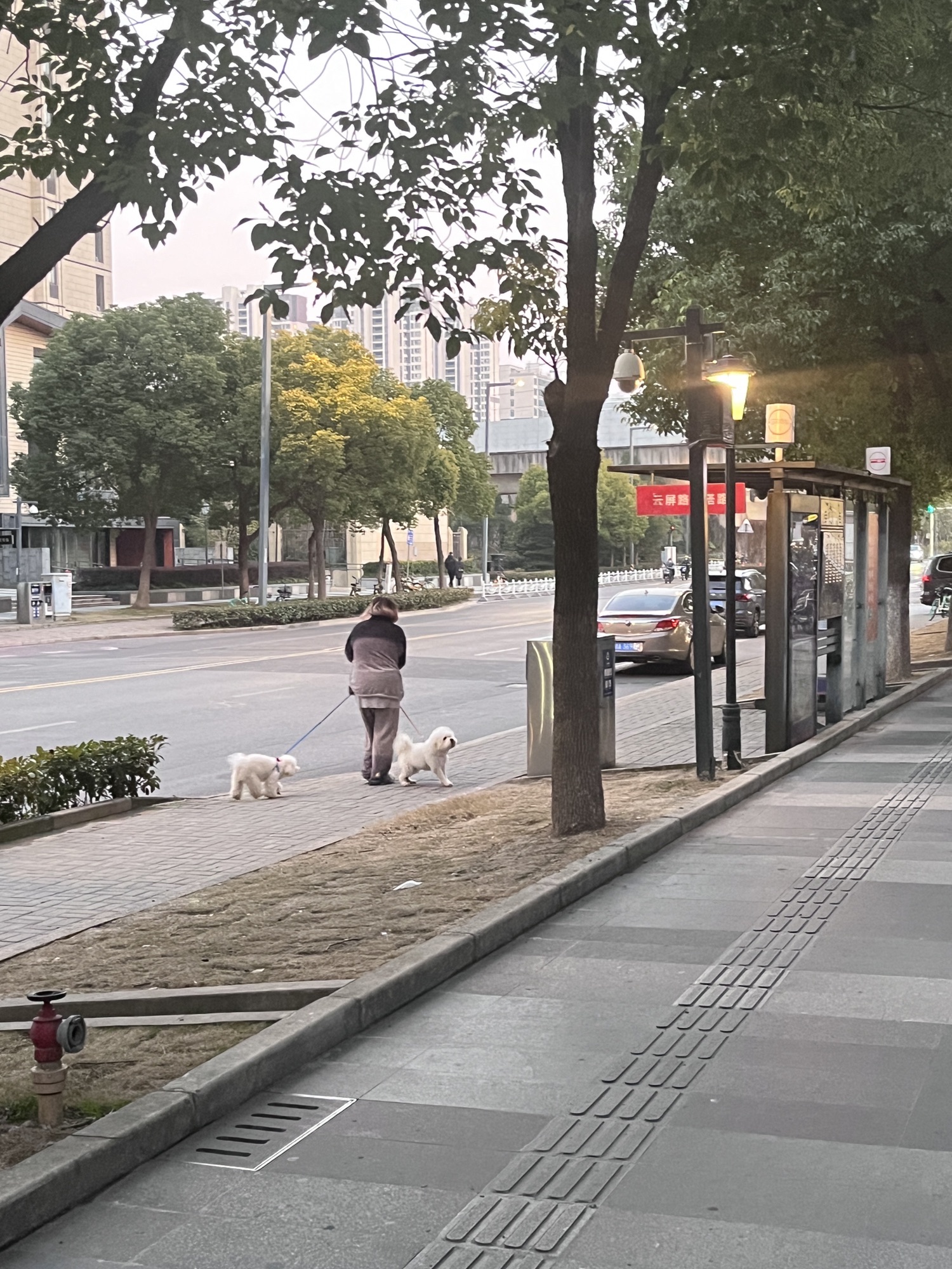 南水关公园旅行图片 1
